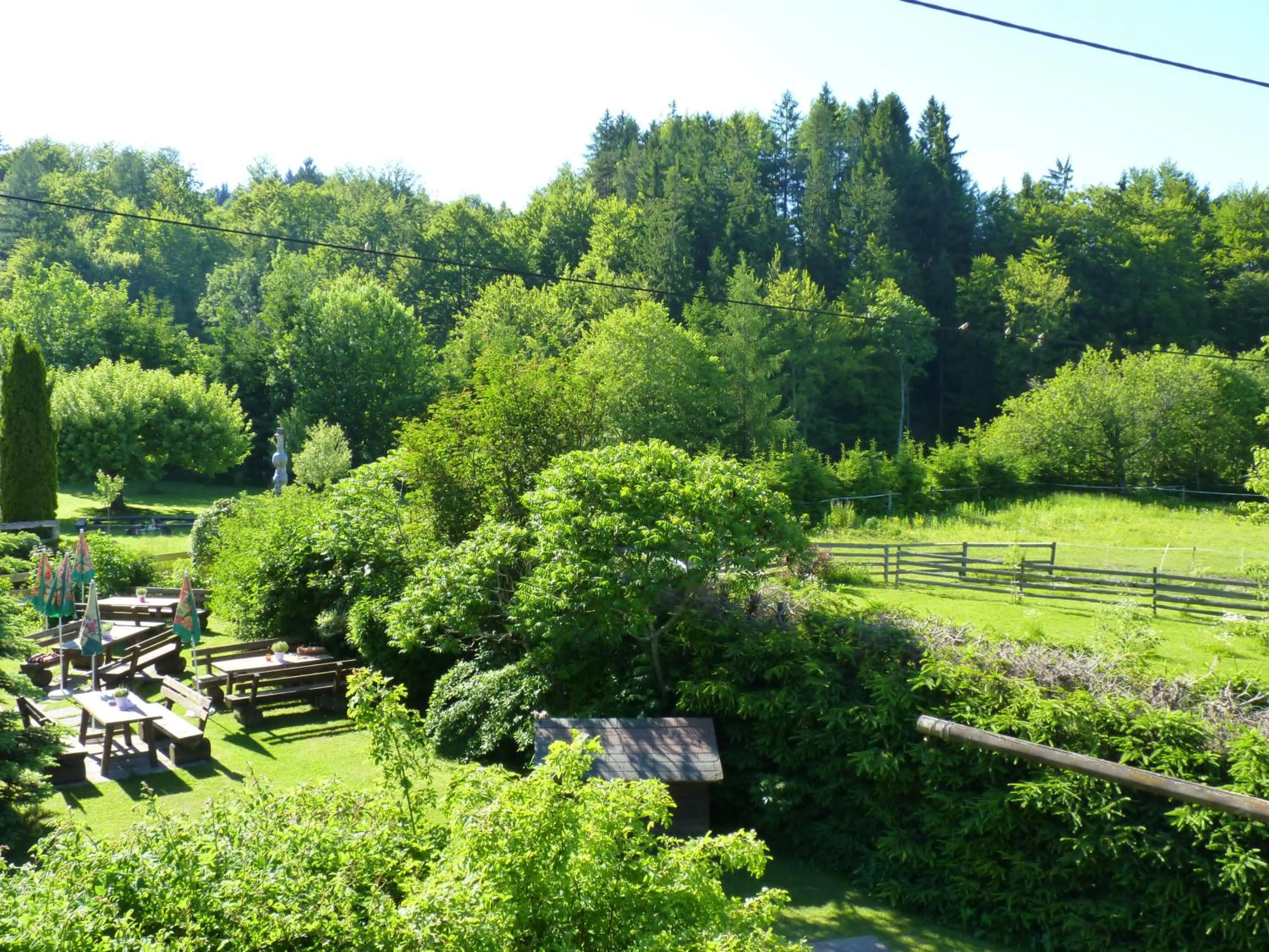 Bird's eye view in Gasthof Martinihof