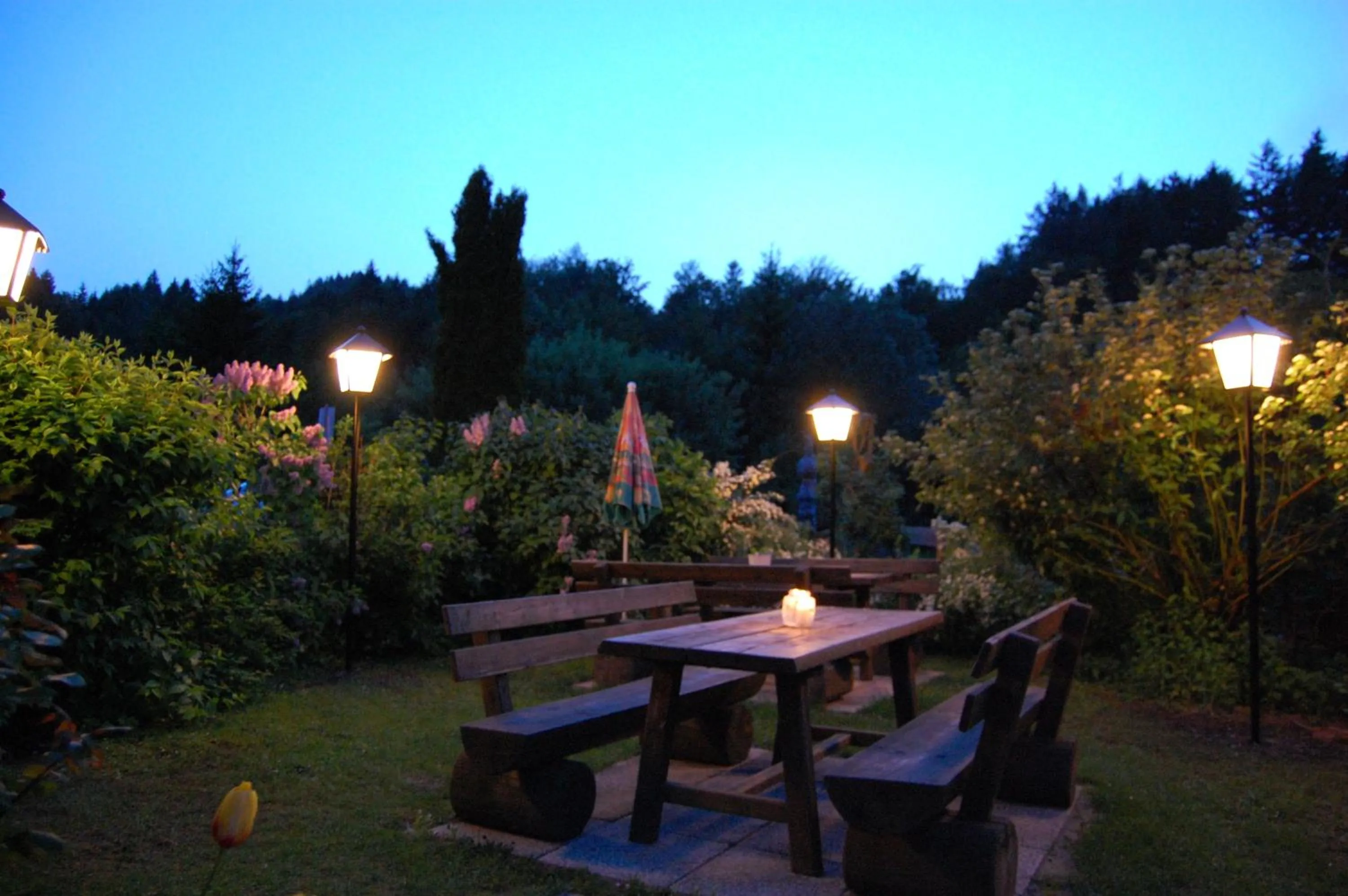 Restaurant/places to eat in Gasthof Martinihof