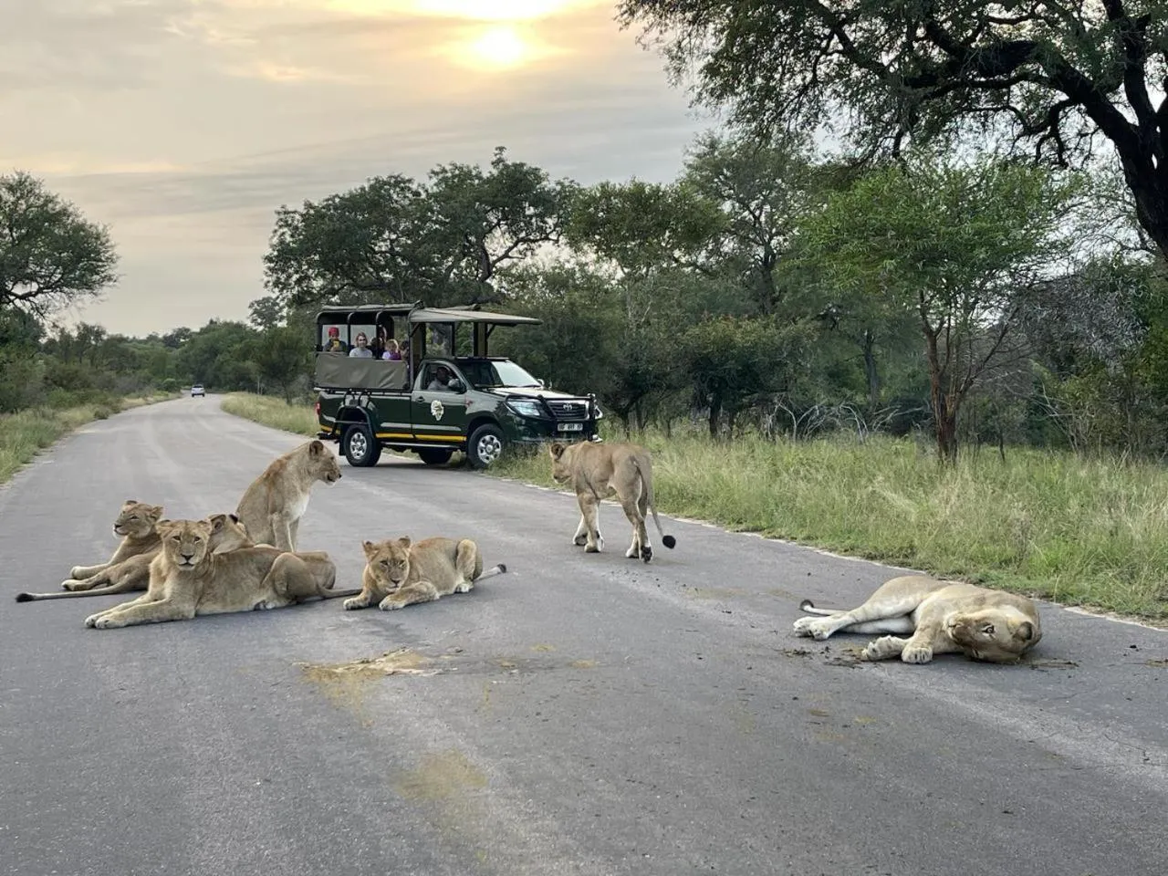 Natural landscape in Umbhaba Eco Lodge