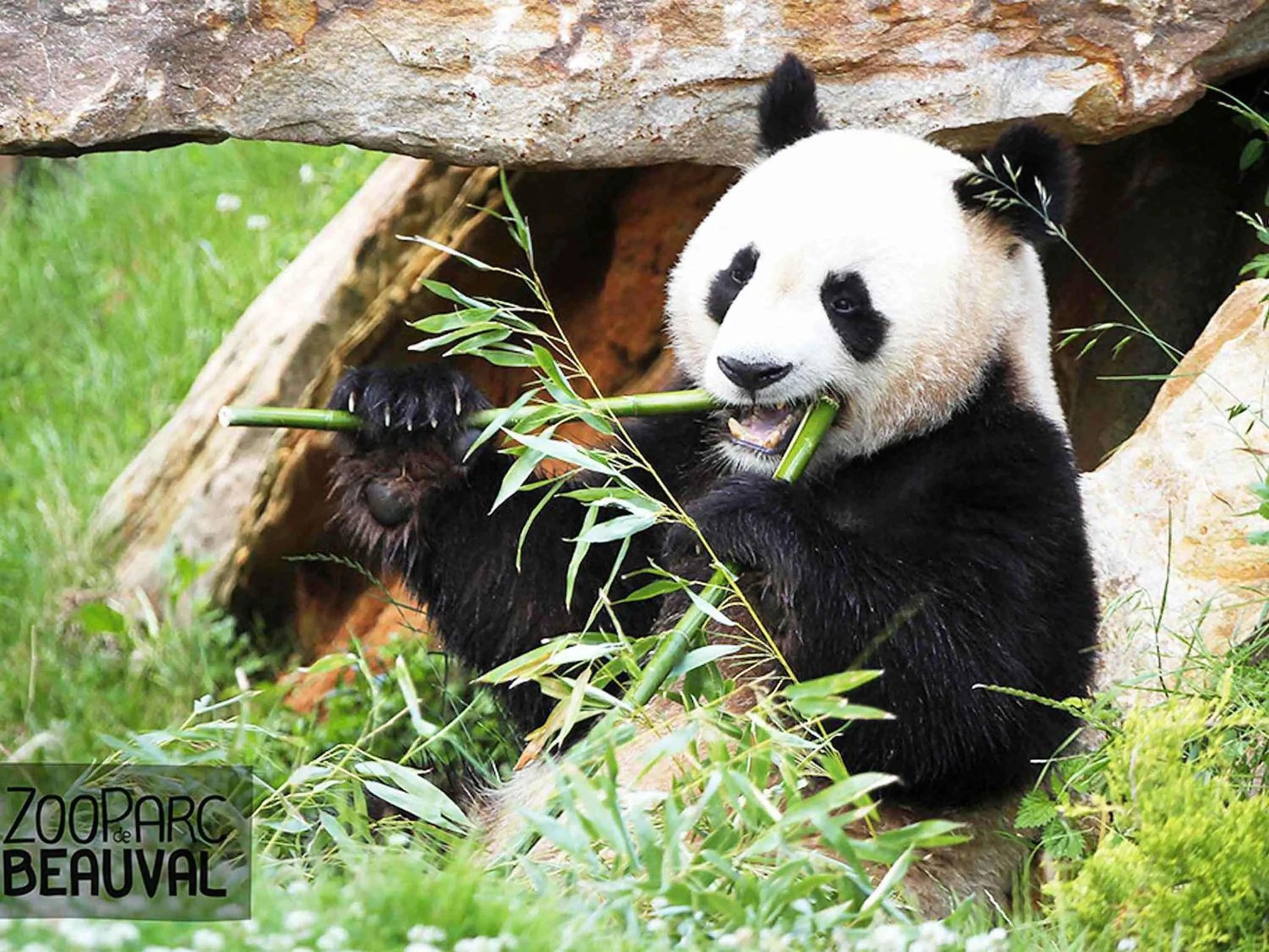 Other in Mercure Tours Sud