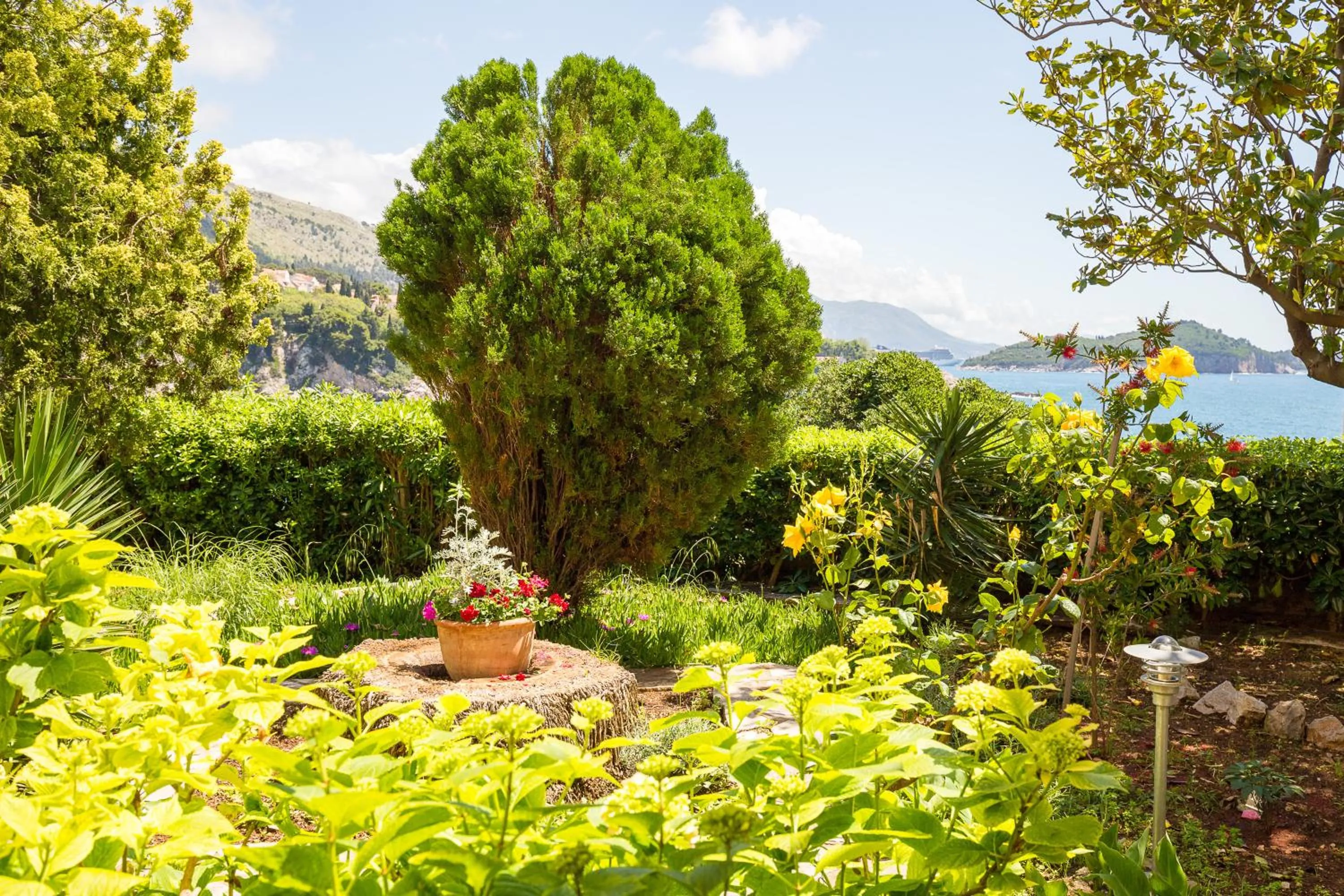 Garden in Guest House Steel