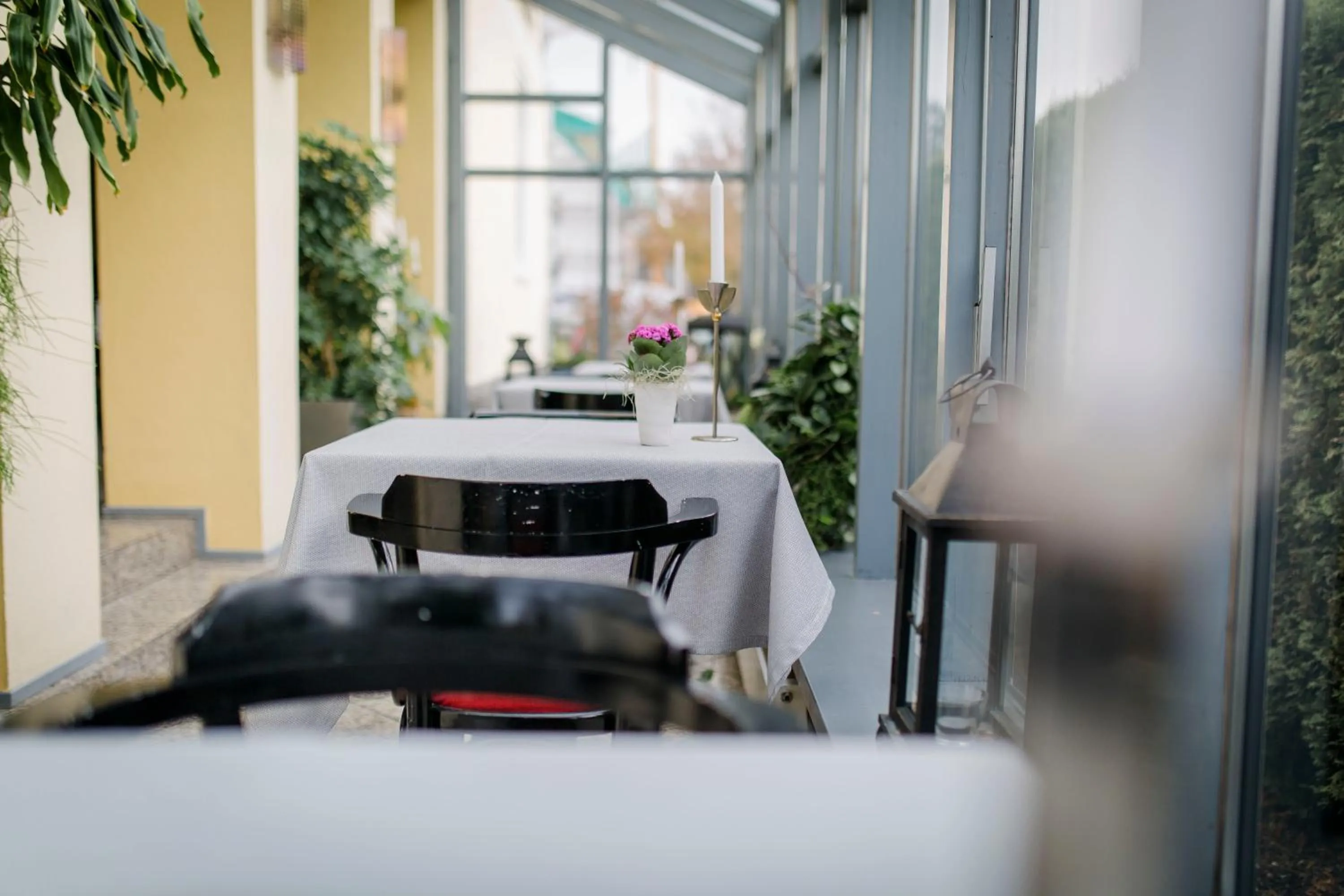 Restaurant/places to eat in Gasthaus & Pension Mohren