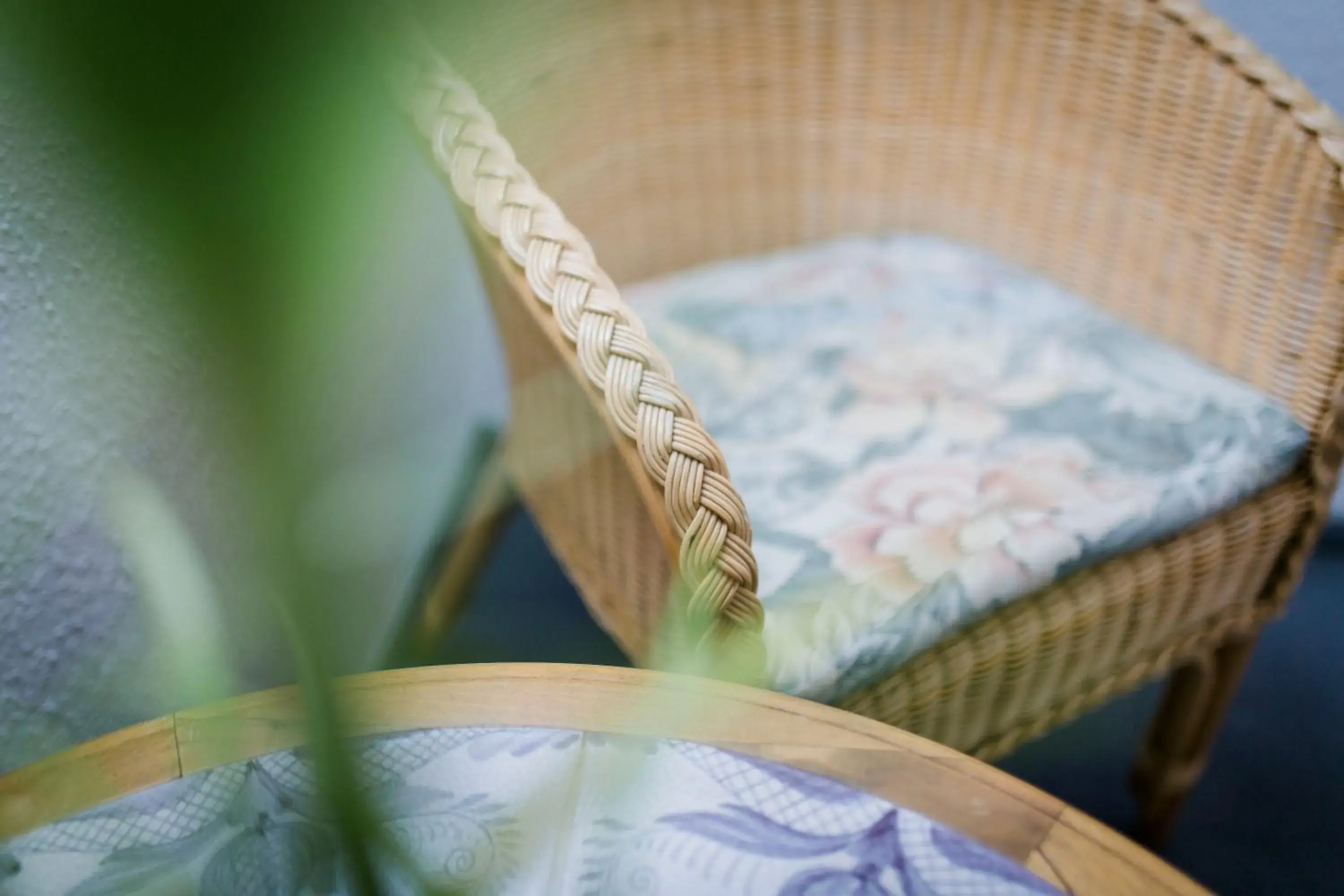 Single Room - single occupancy in Gasthaus & Pension Mohren Single Room - single occupancy in Gasthaus & Pension Mohren