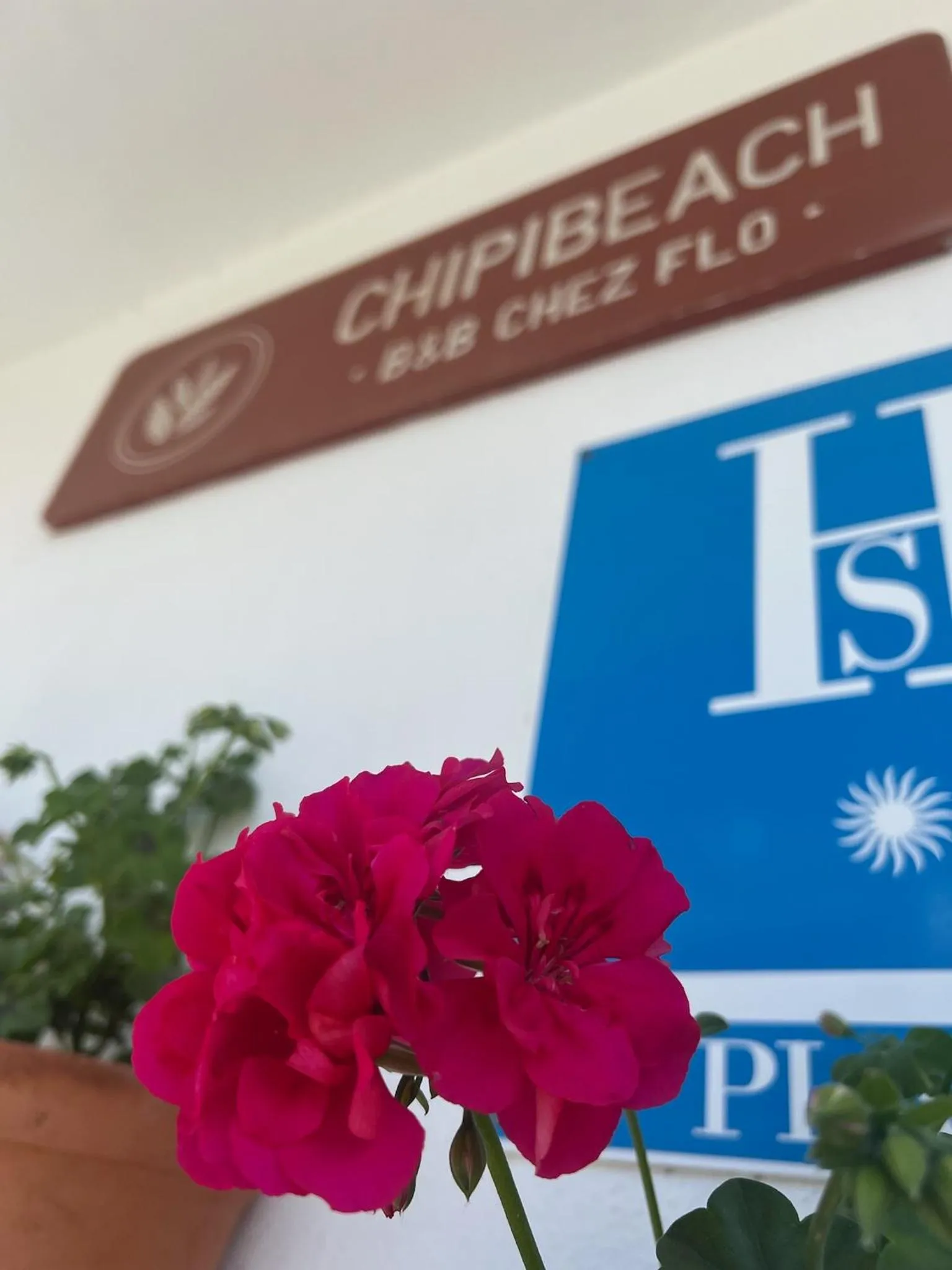 Property logo or sign in Chipibeach B&B, Hostal Boutique