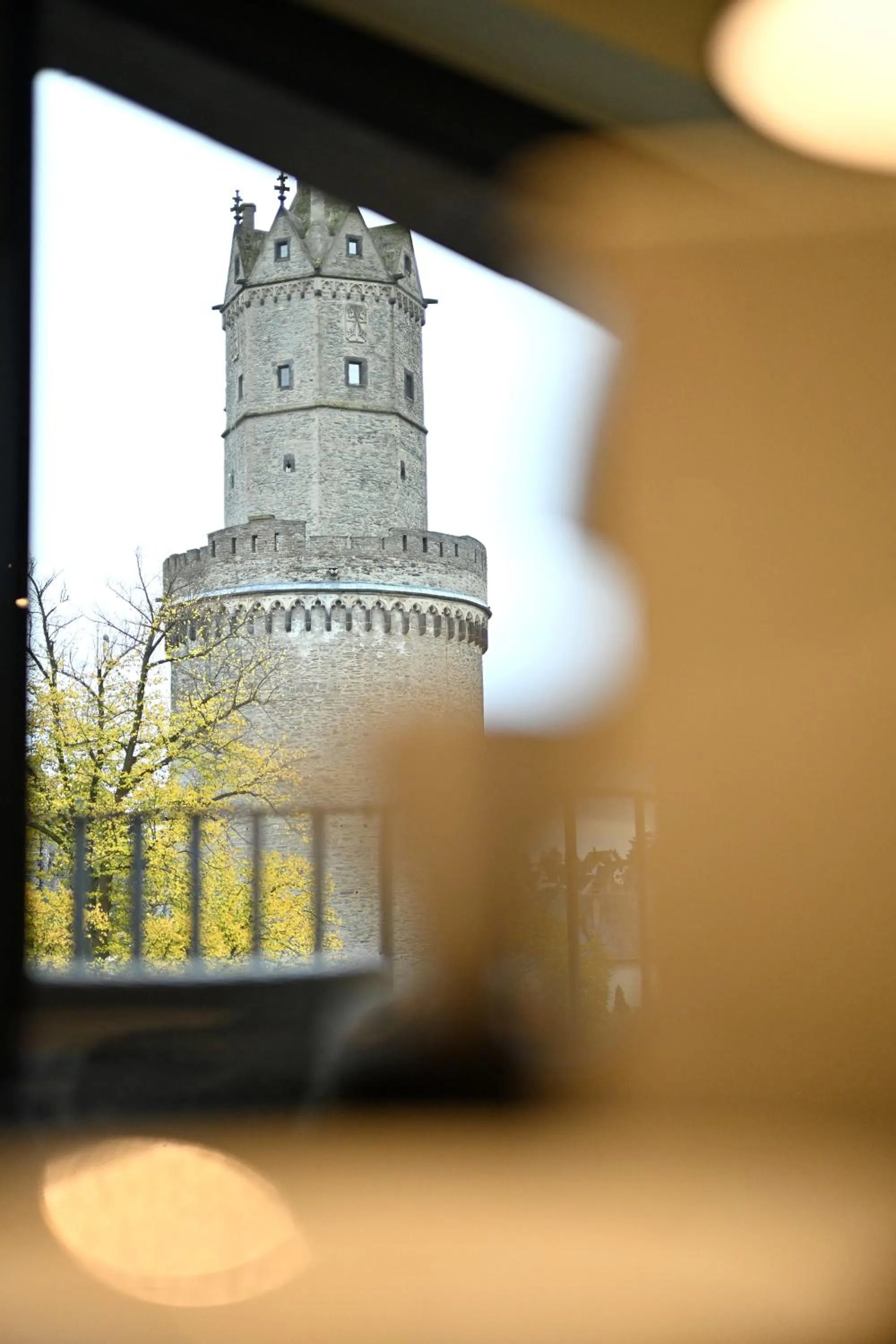 Landmark view in Parkhotel "Am Schänzchen"