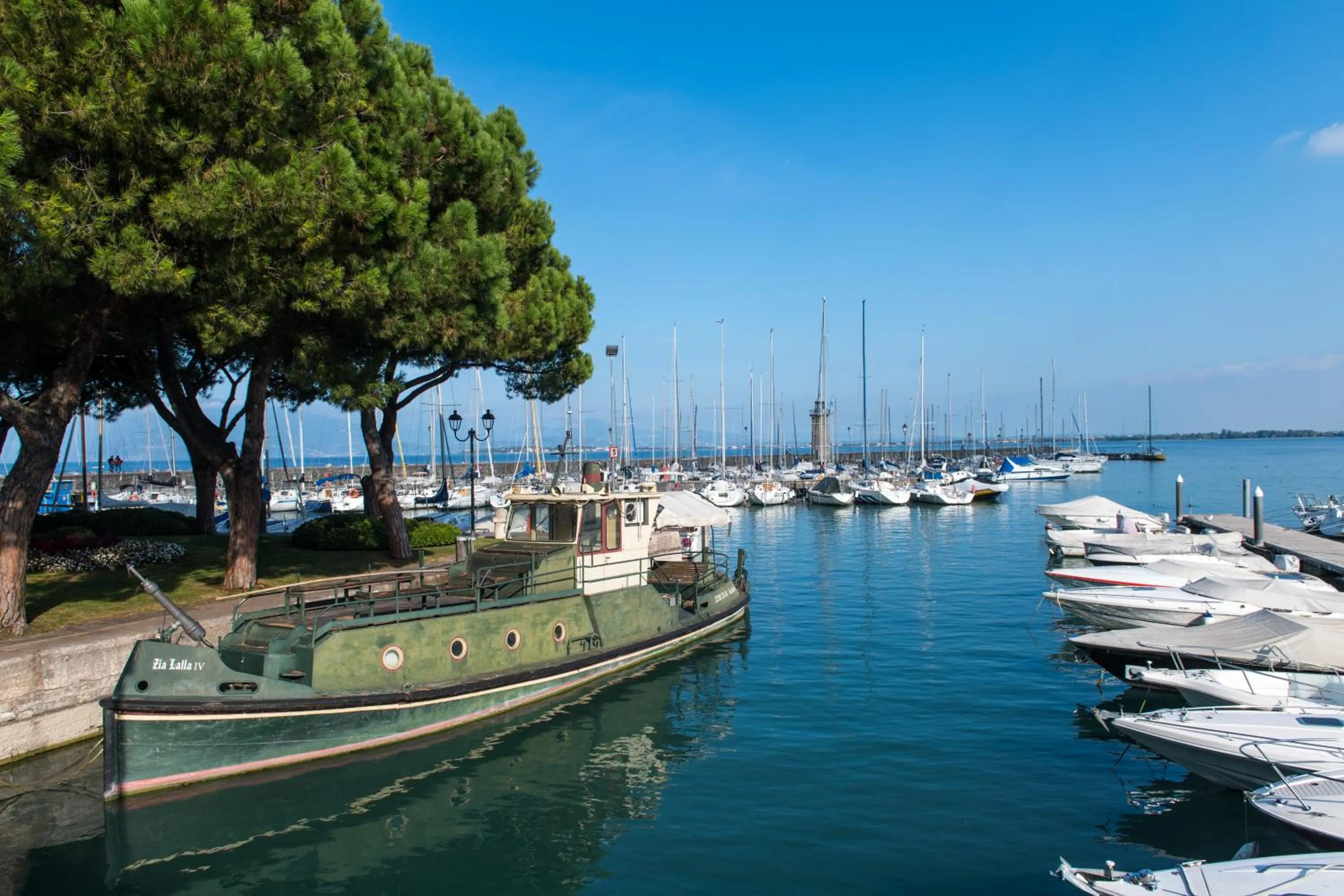 Activities in Flowers Apartments