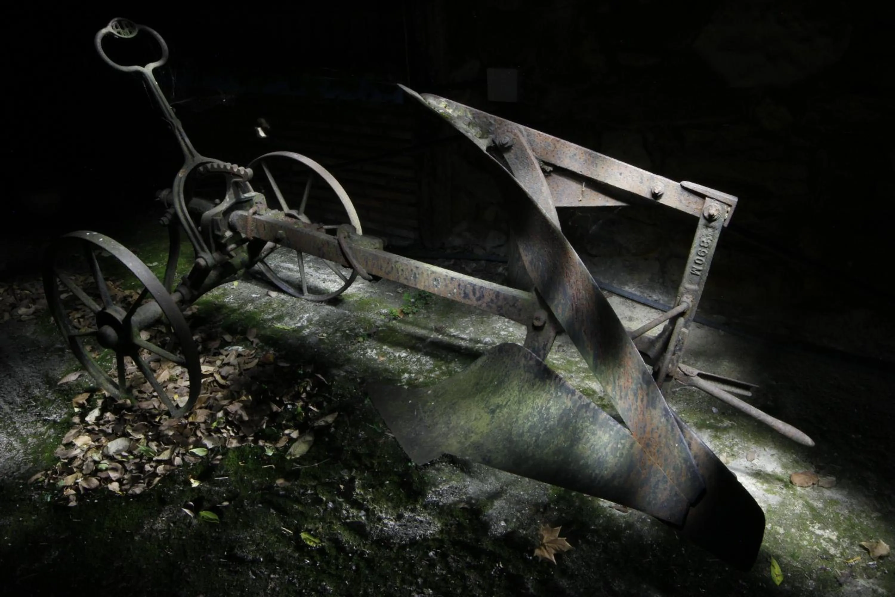 Garden in Agroturismo Ibarra