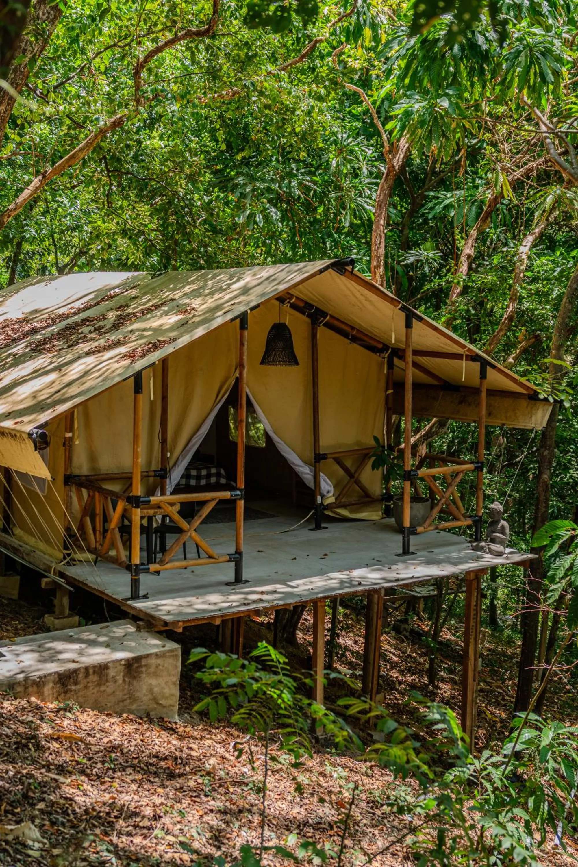Natural landscape in Saboga Lodge