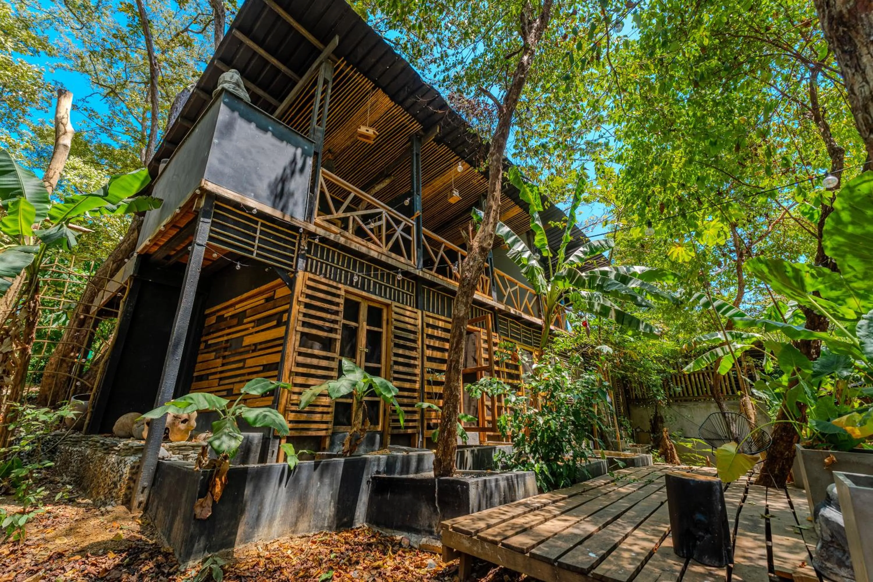 View (from property/room) in Saboga Lodge