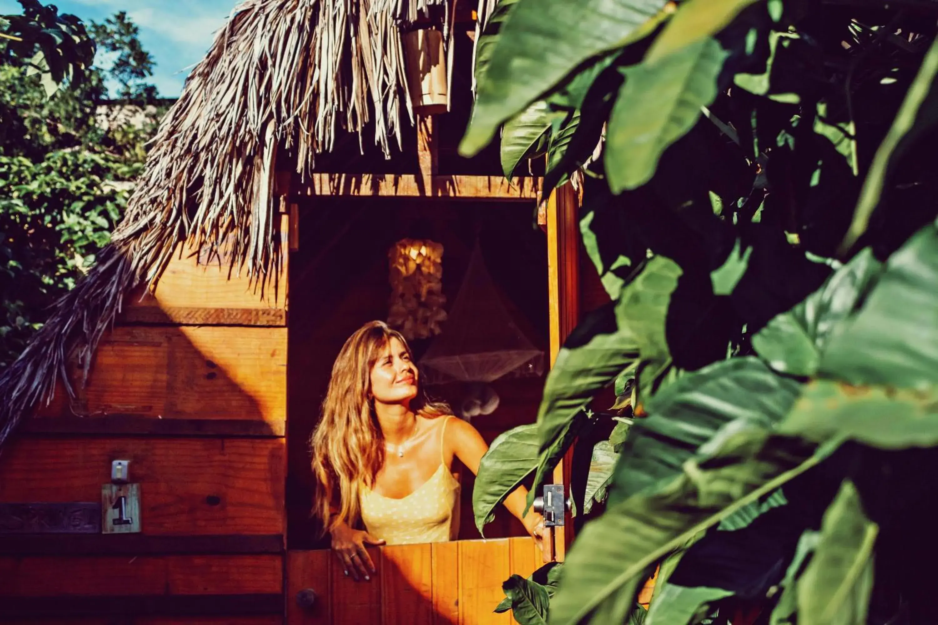 Raiz Hostel Raiz Hostel