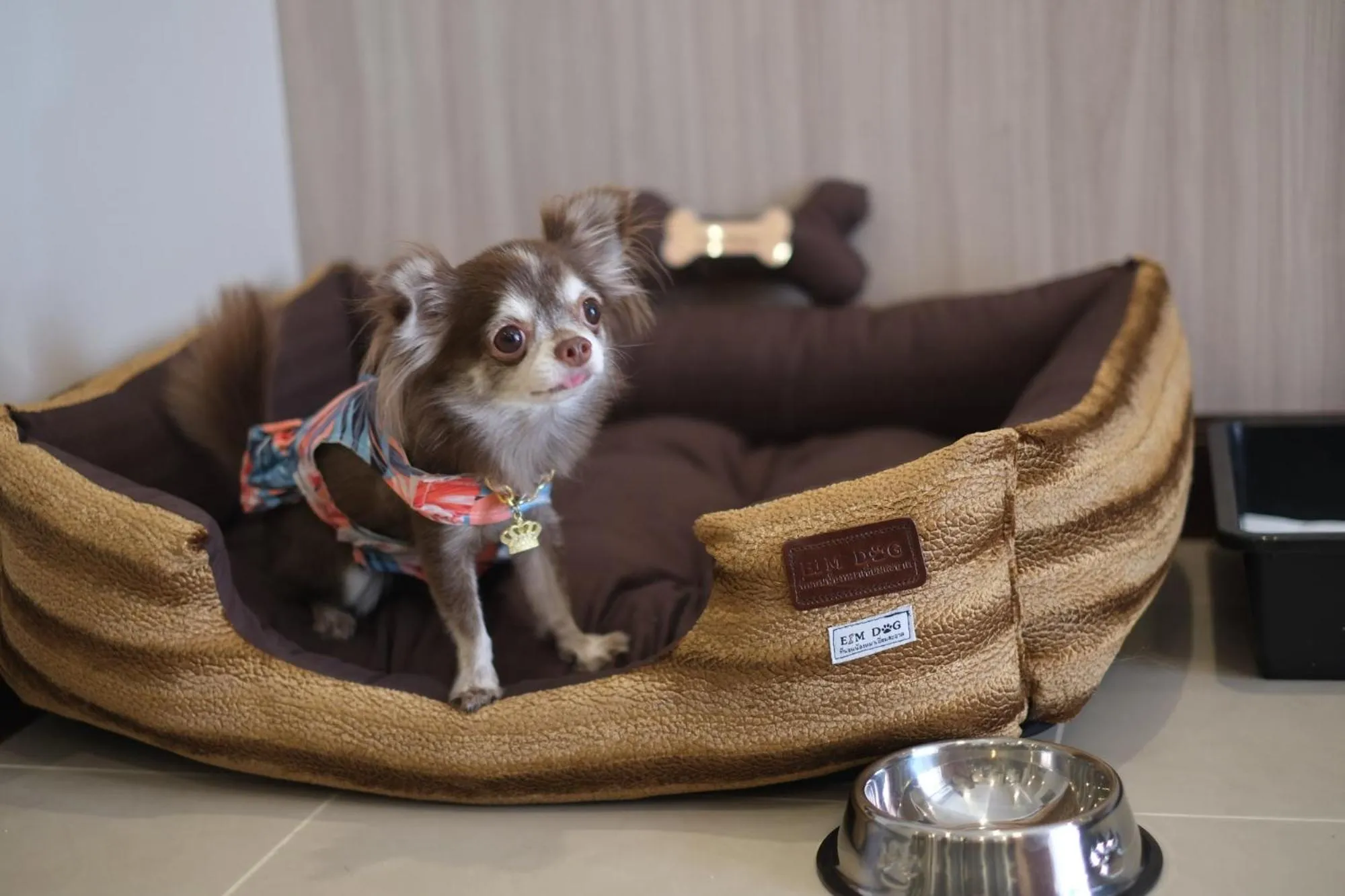 Pets in Grand Asoke Suites Boutique Residence