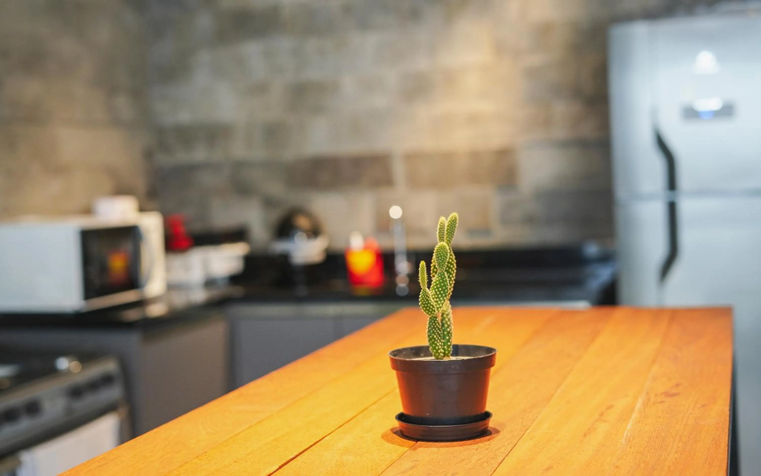Communal kitchen in Innbox - Canasvieiras 2