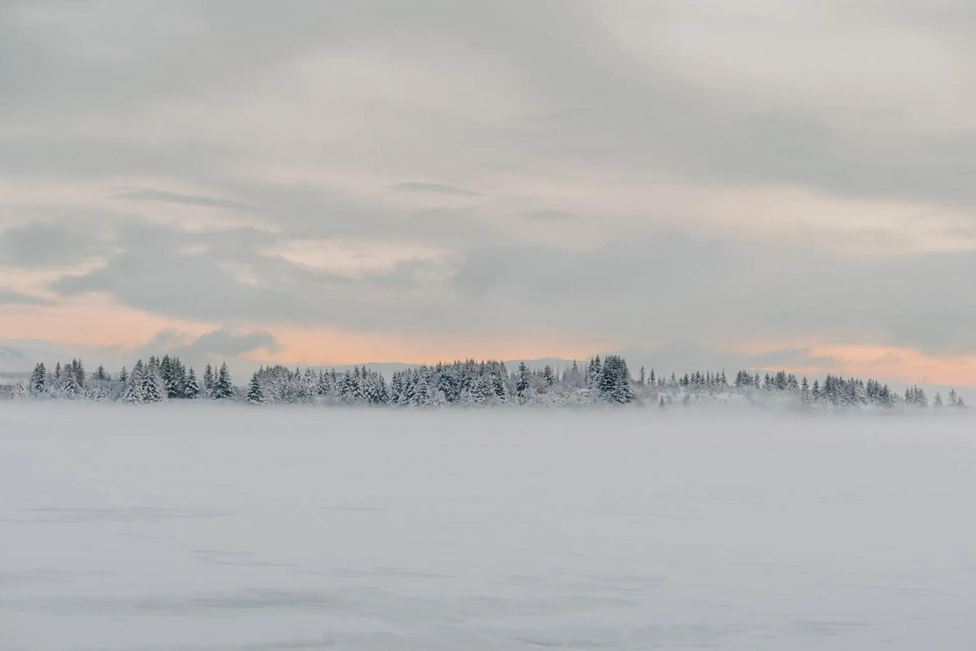 Natural landscape in Hotel Kriunes