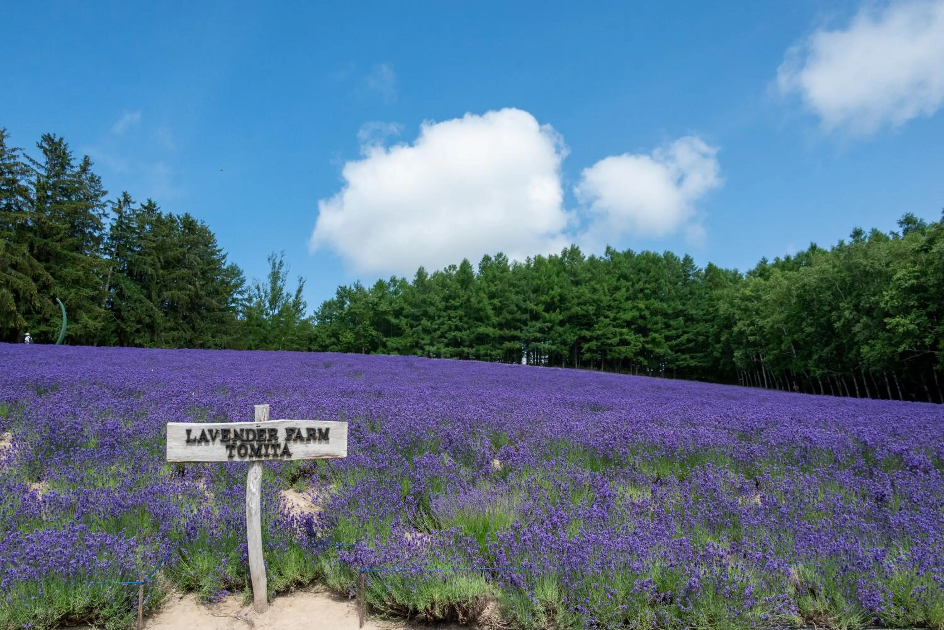 Play Ground BASE -higashikawa-