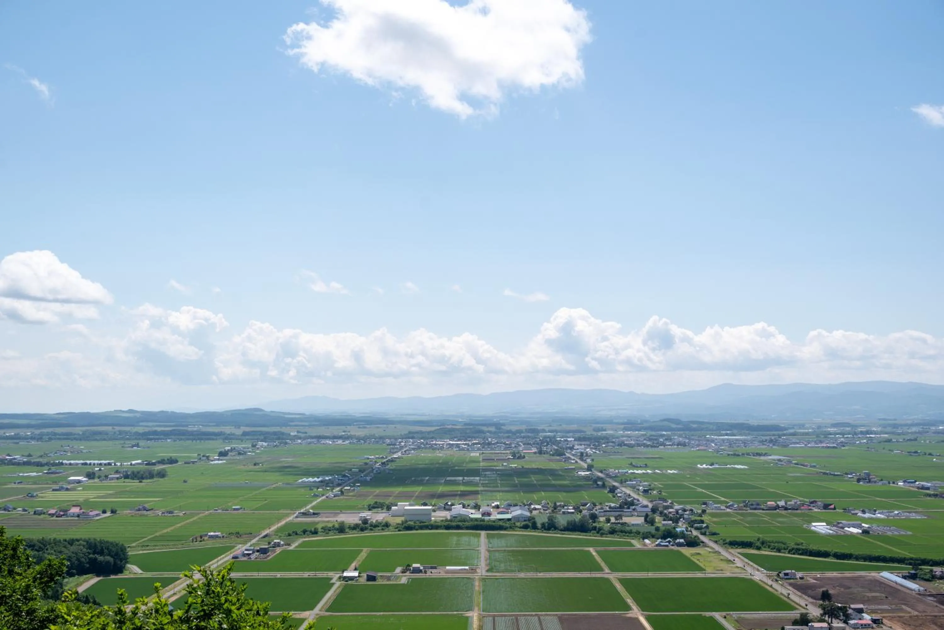 Play Ground BASE -higashikawa-