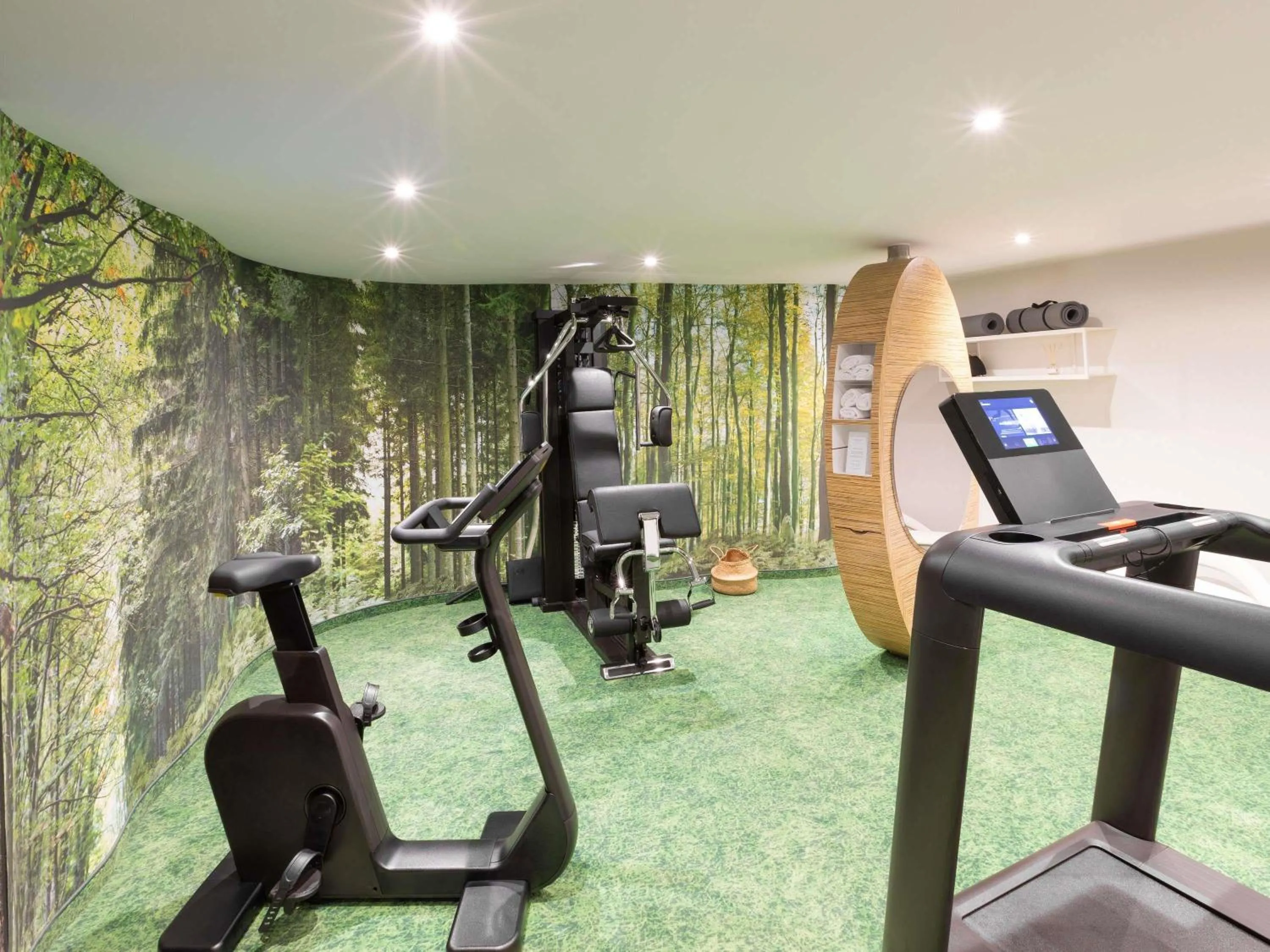 Fitness centre/facilities in Mercure Strasbourg Centre Petite France