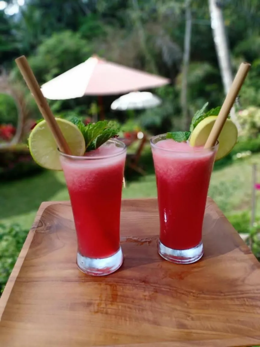 The Jungle Villa Family