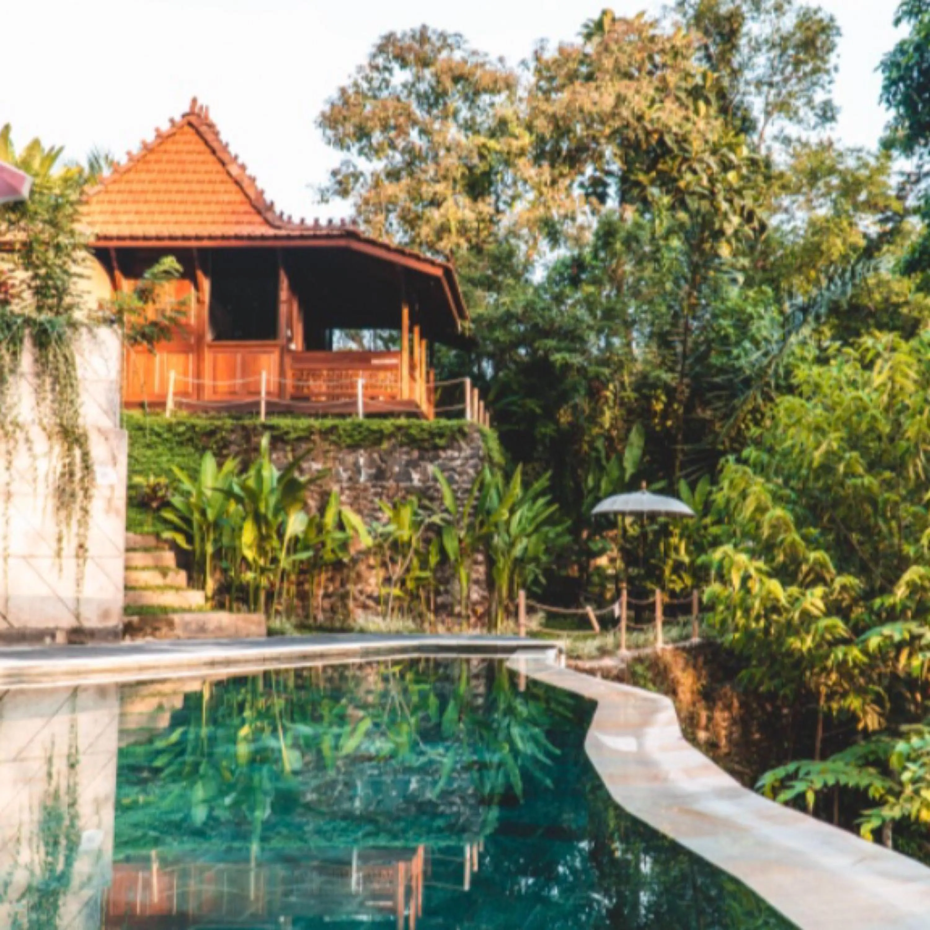 The Jungle Villa Family