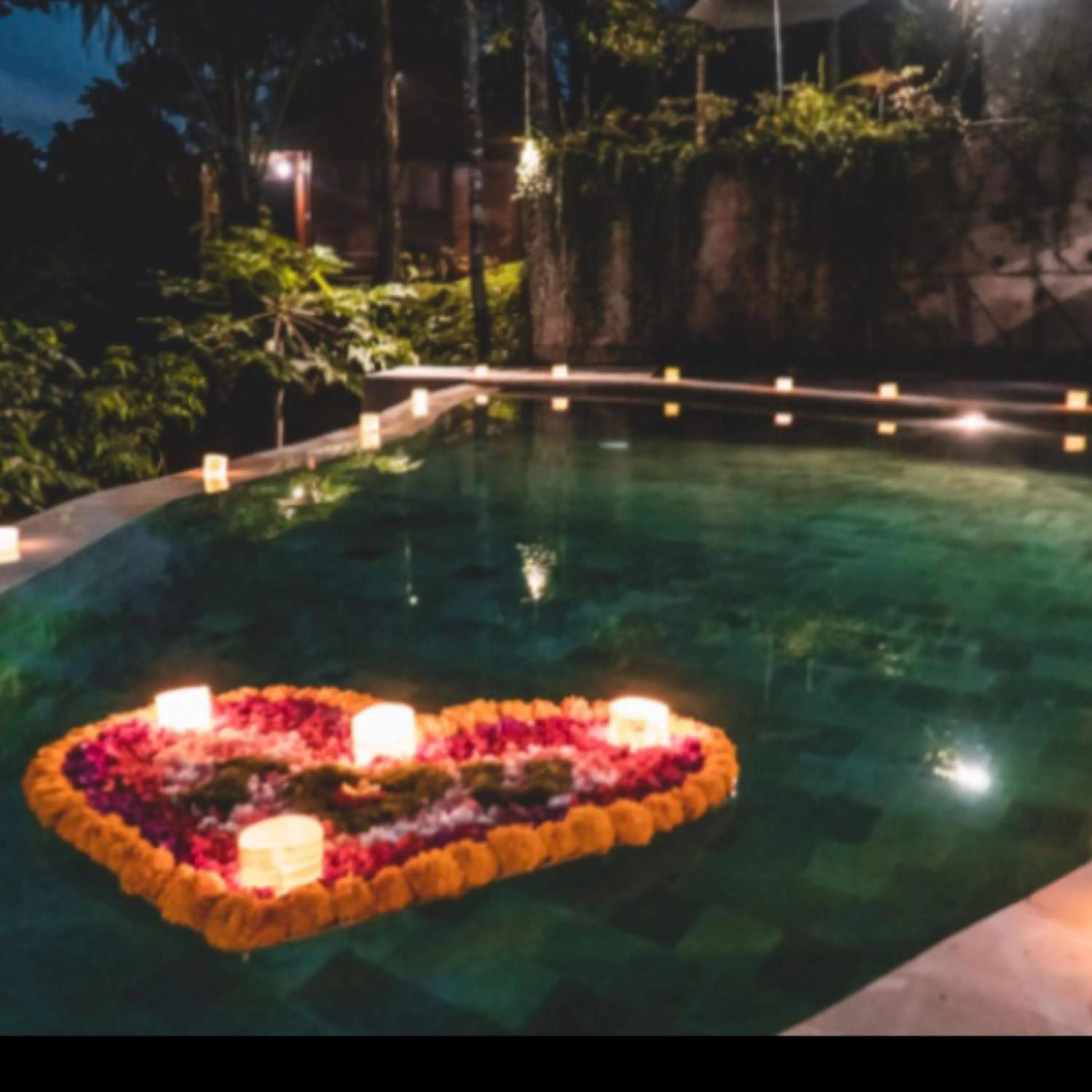 The Jungle Villa Family