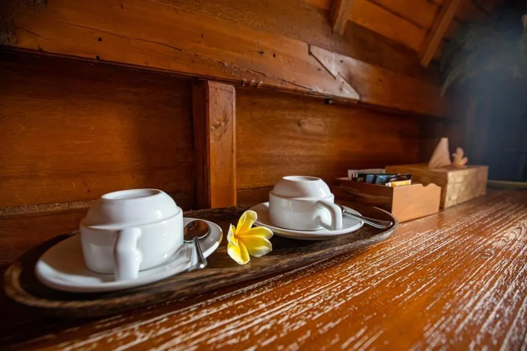 The Jungle Villa Family