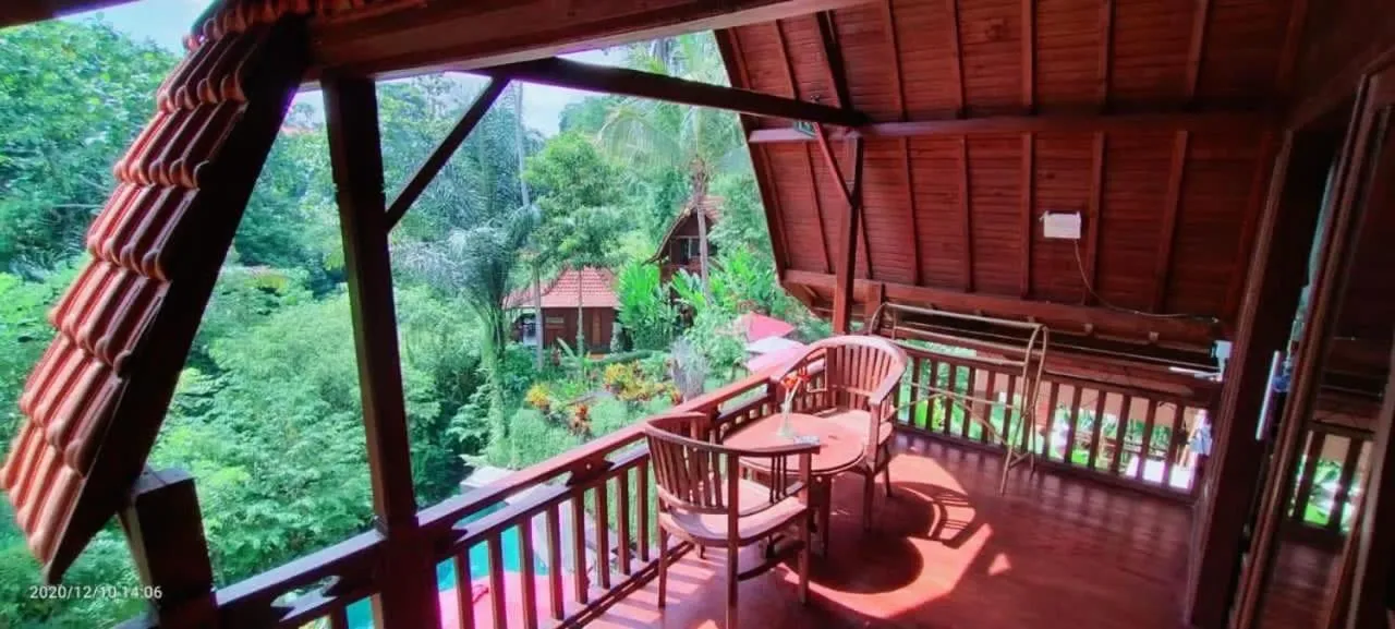 The Jungle Villa Family