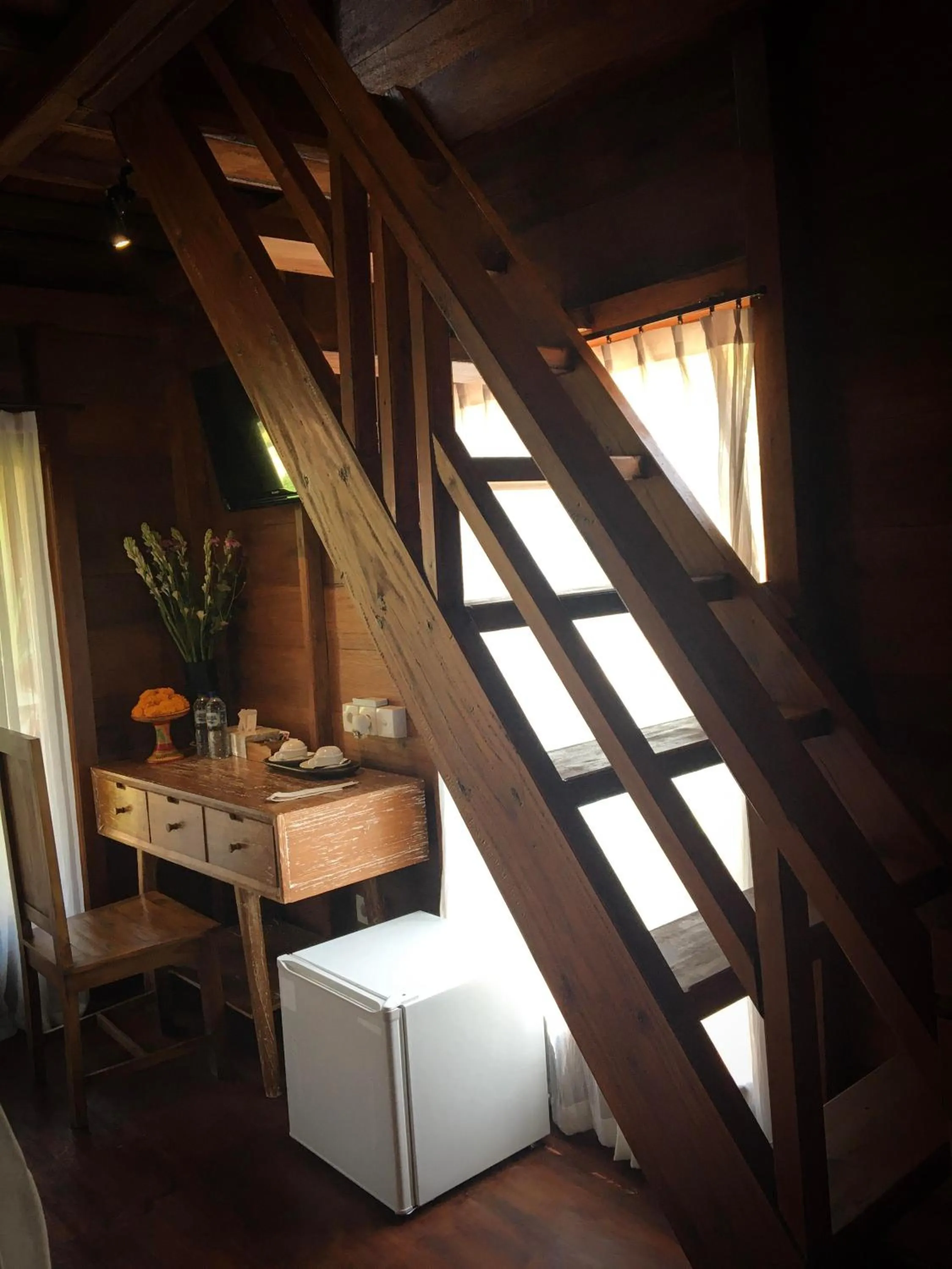 The Jungle Villa Family