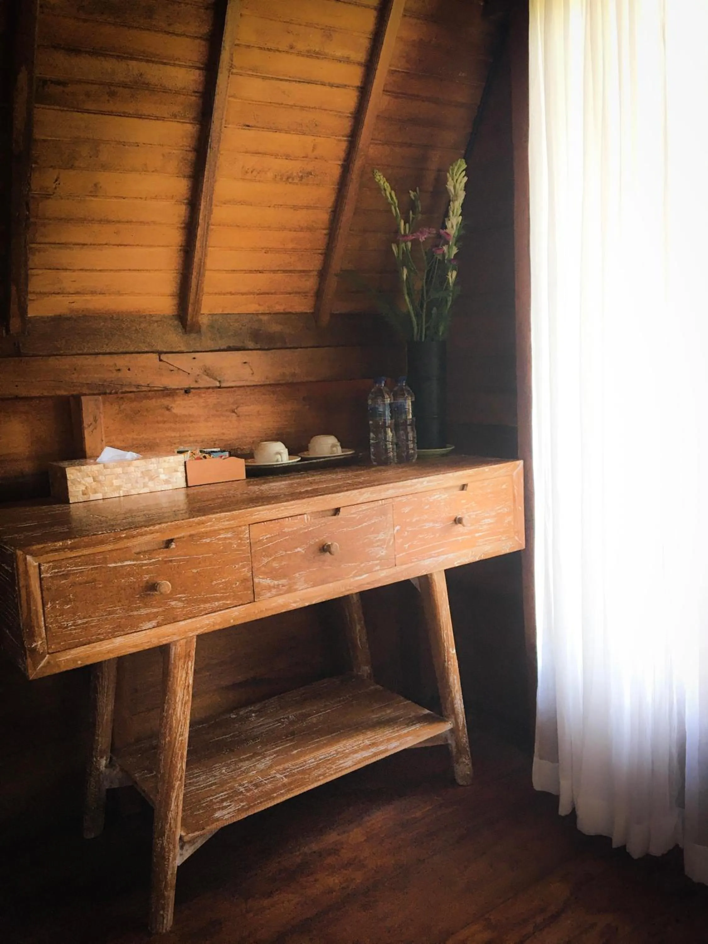 The Jungle Villa Family