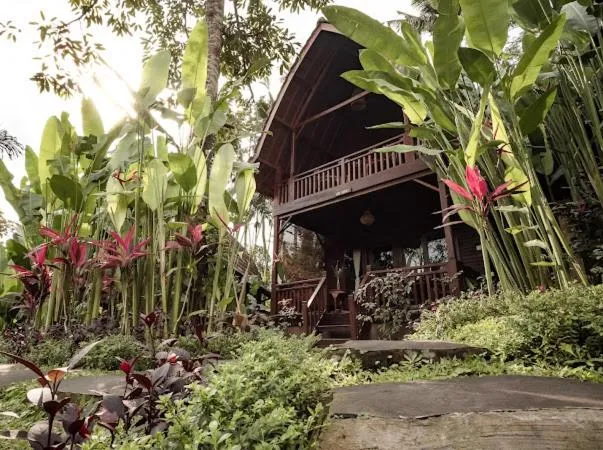 The Jungle Villa Family