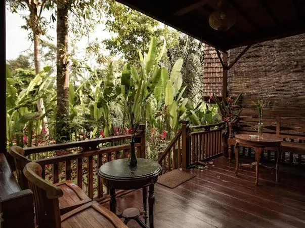 The Jungle Villa Family