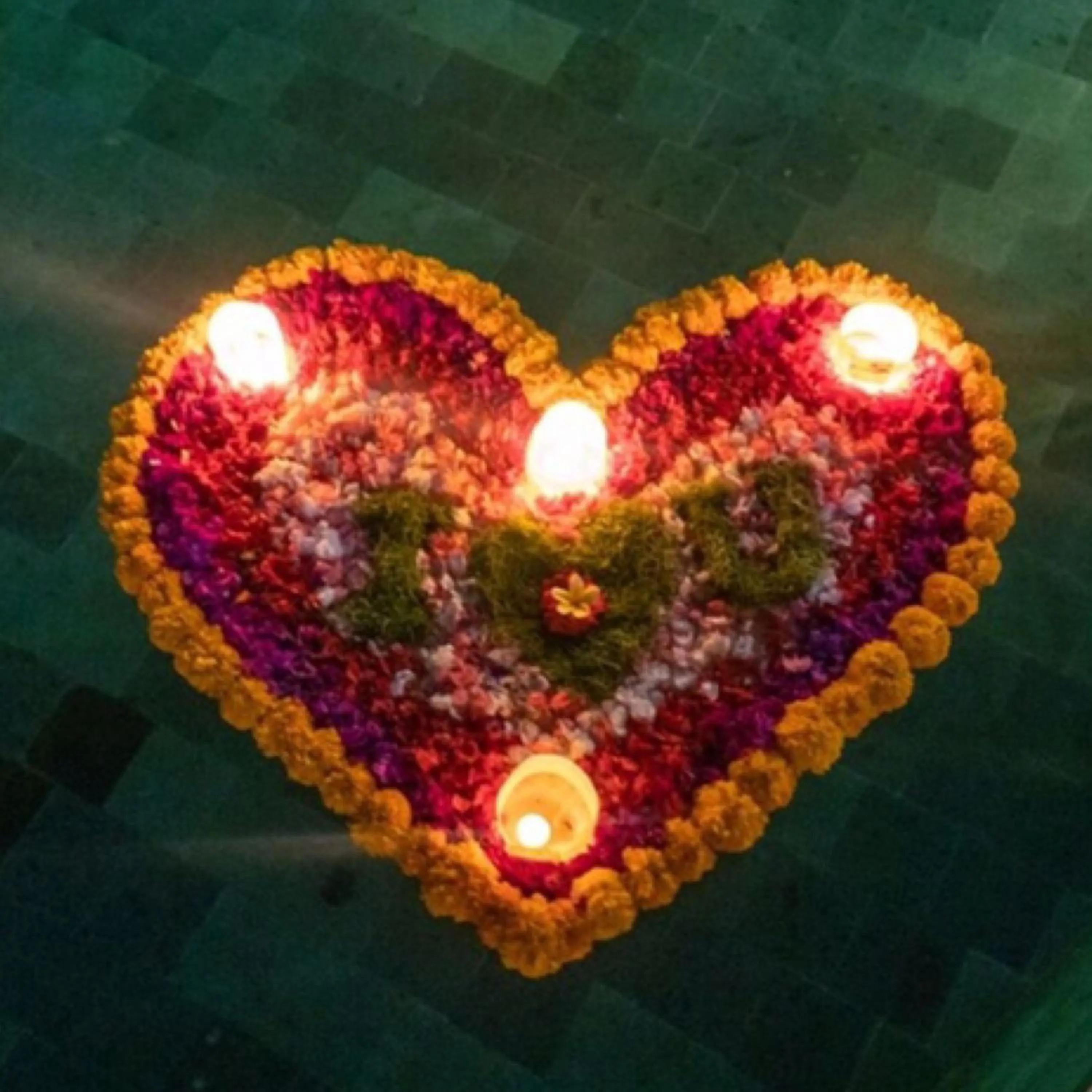 The Jungle Villa Family