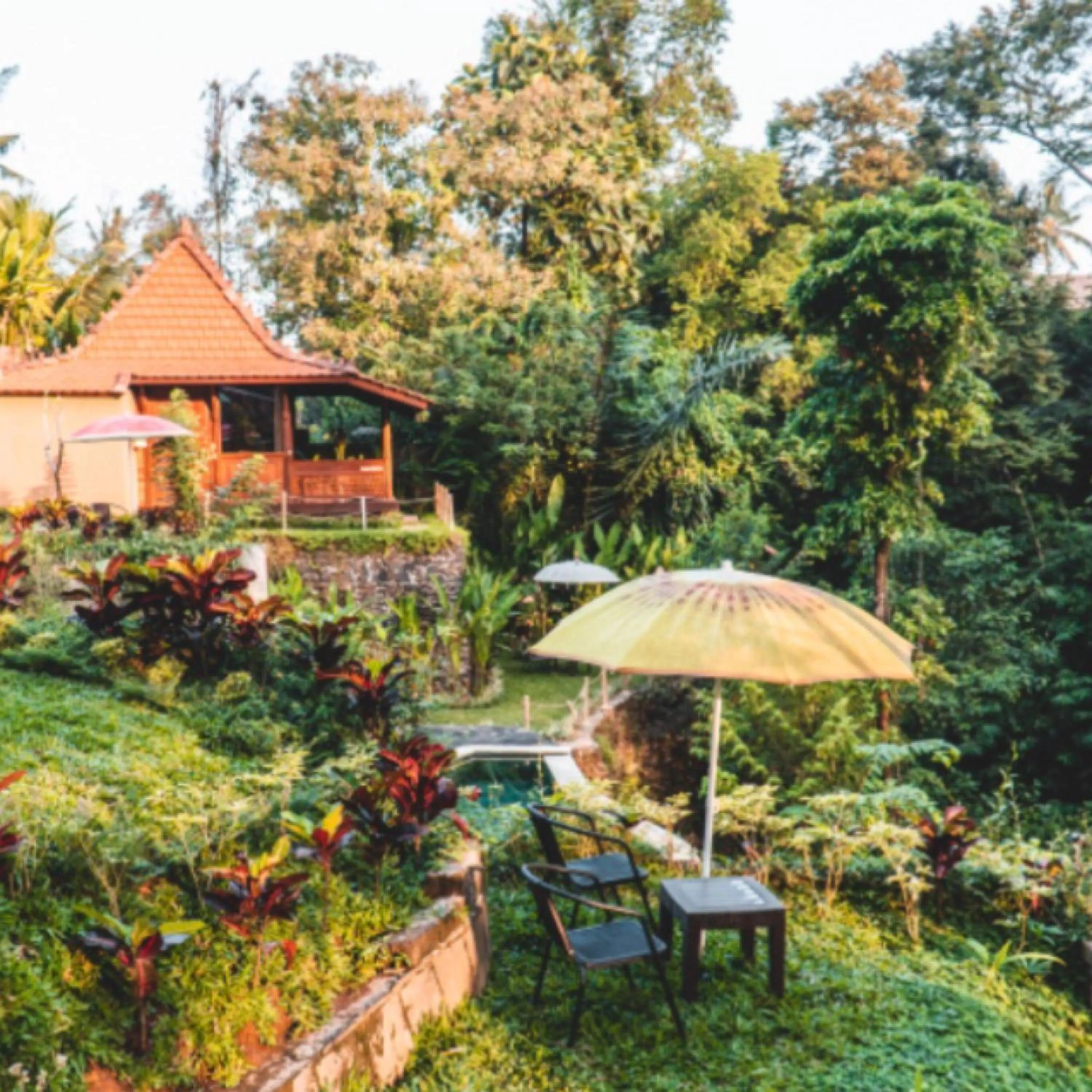 The Jungle Villa Family