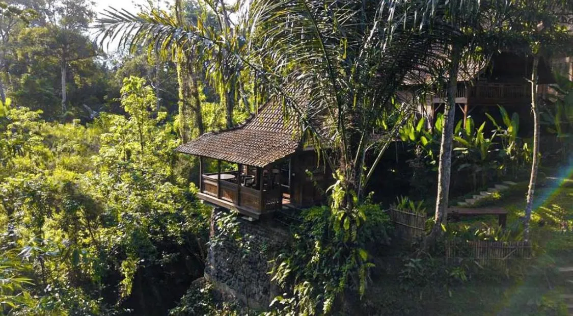 The Jungle Villa Family