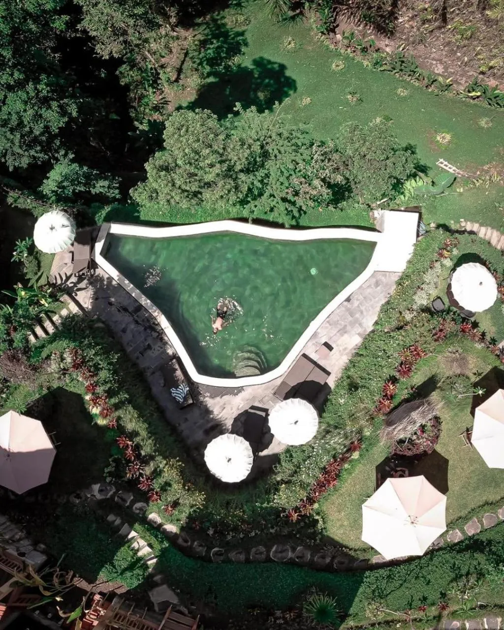 The Jungle Villa Family