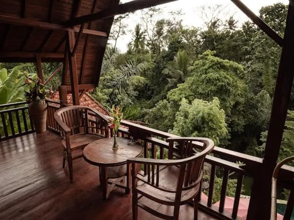 The Jungle Villa Family