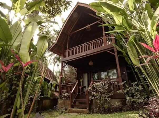 The Jungle Villa Family