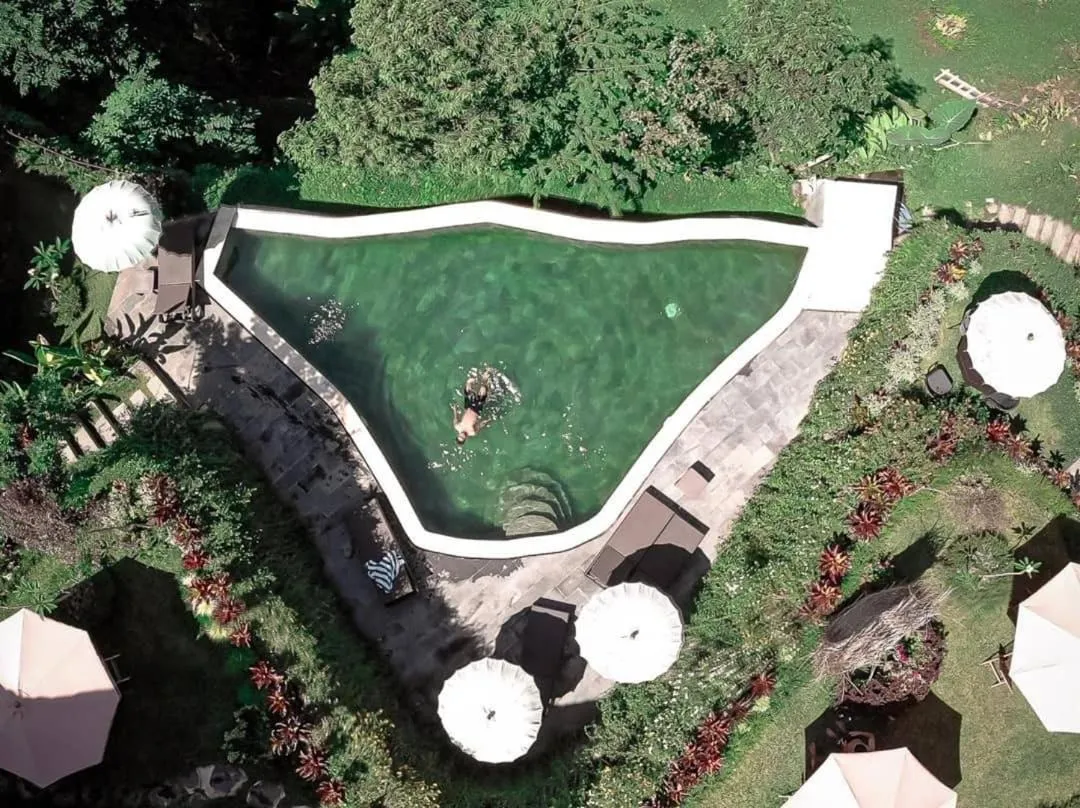 Bird's eye view in The Jungle Villa Family