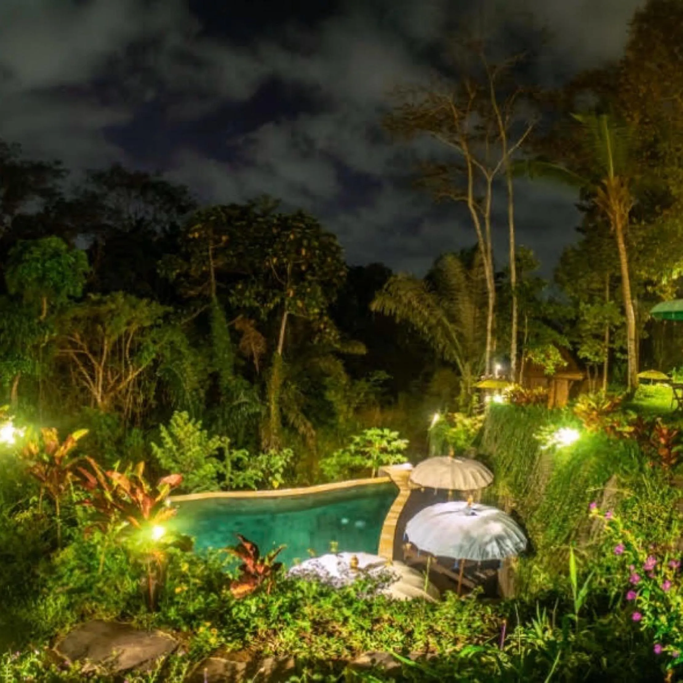 The Jungle Villa Family