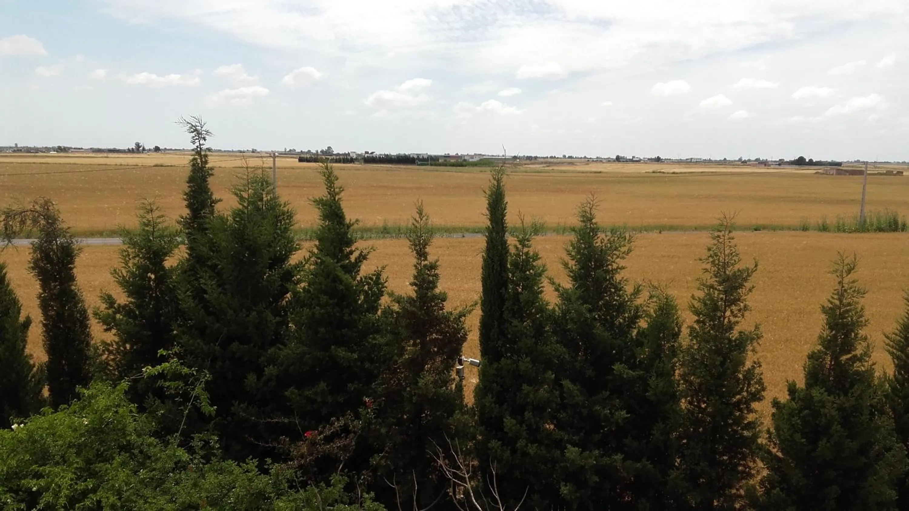 View (from property/room) in Riad TANJIL