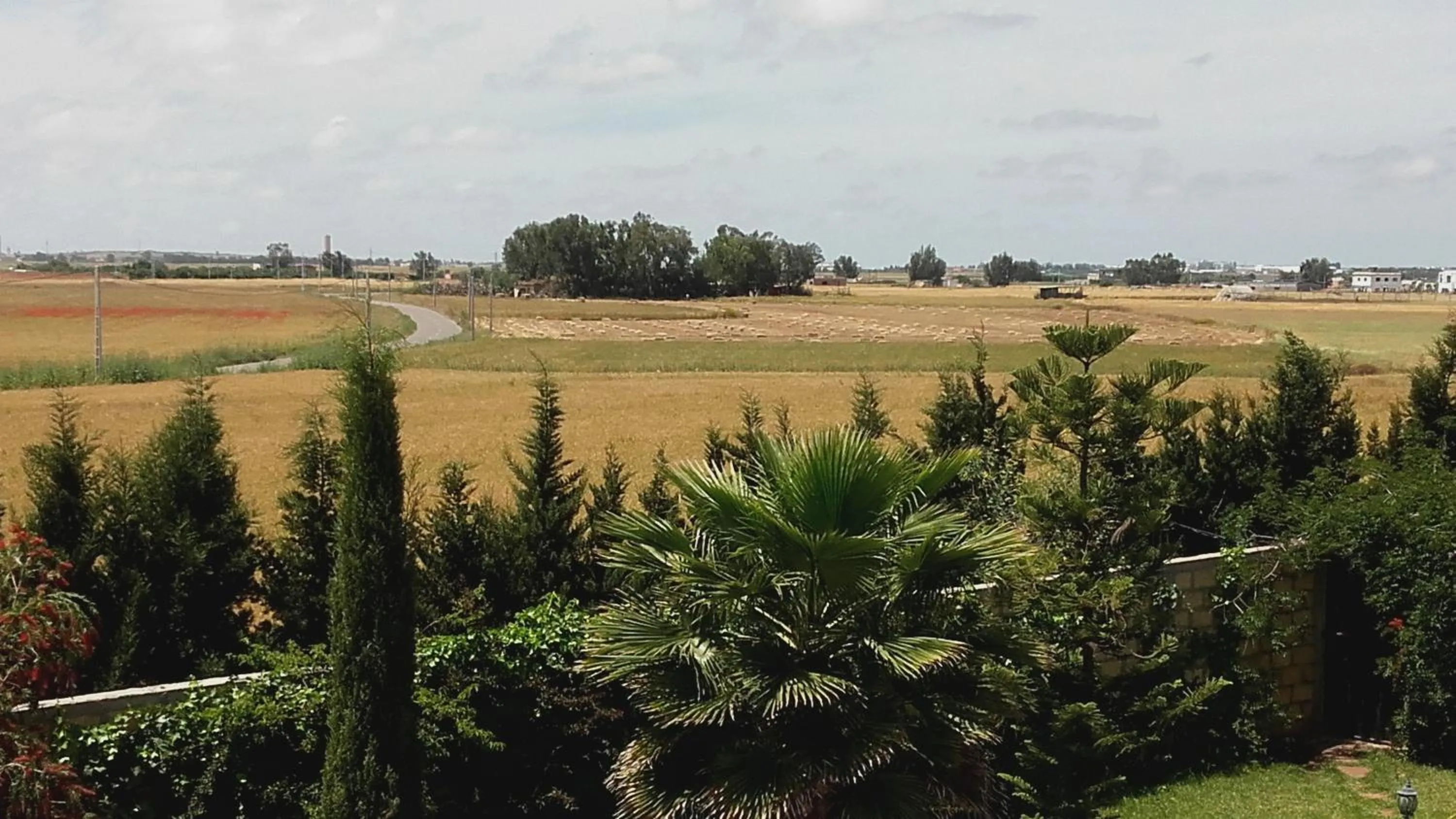 View (from property/room) in Riad TANJIL