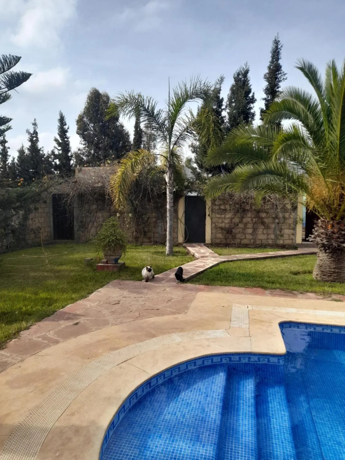 Garden in Riad TANJIL