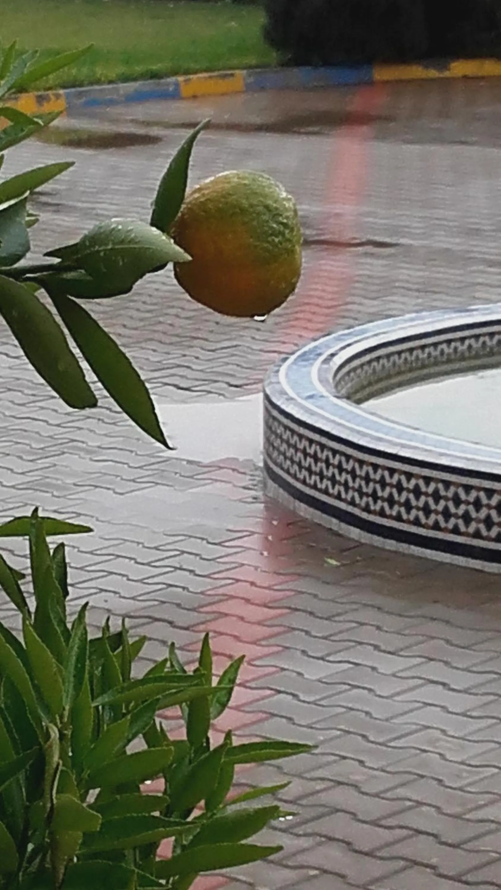 Garden in Riad TANJIL