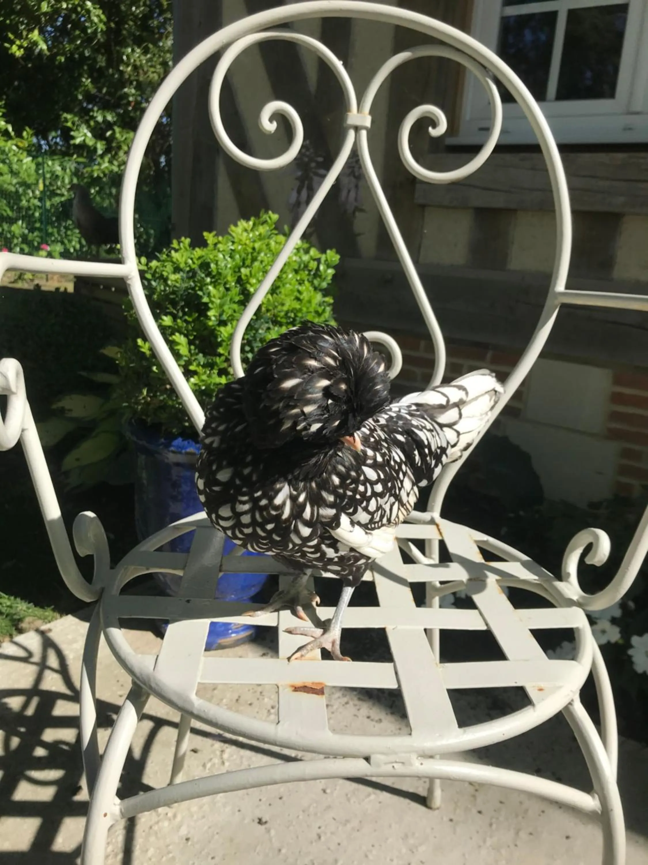 Garden in Manoir des Lions de Tourgéville