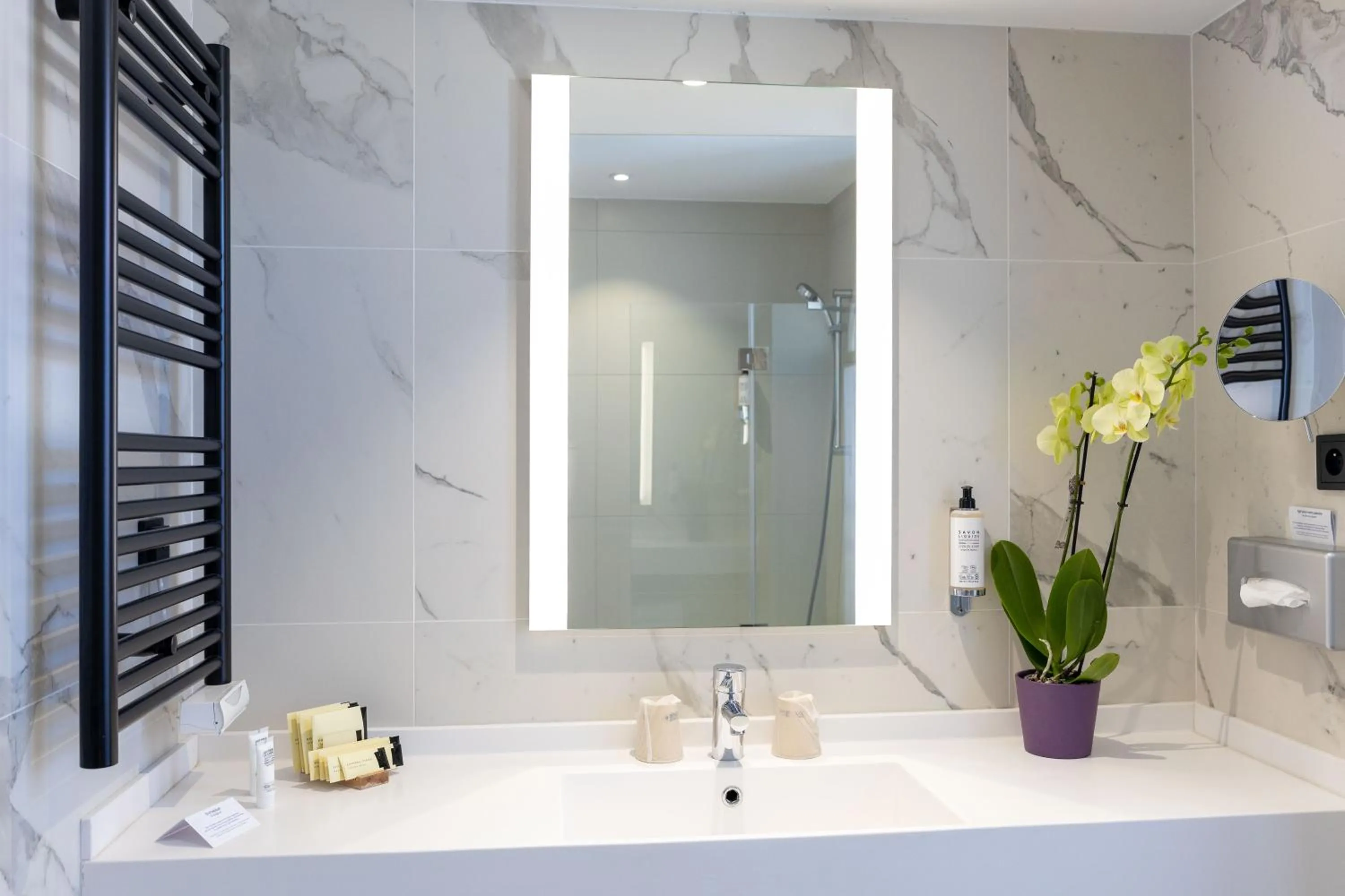 Shower in Best Western Hotel du Pont Wilson