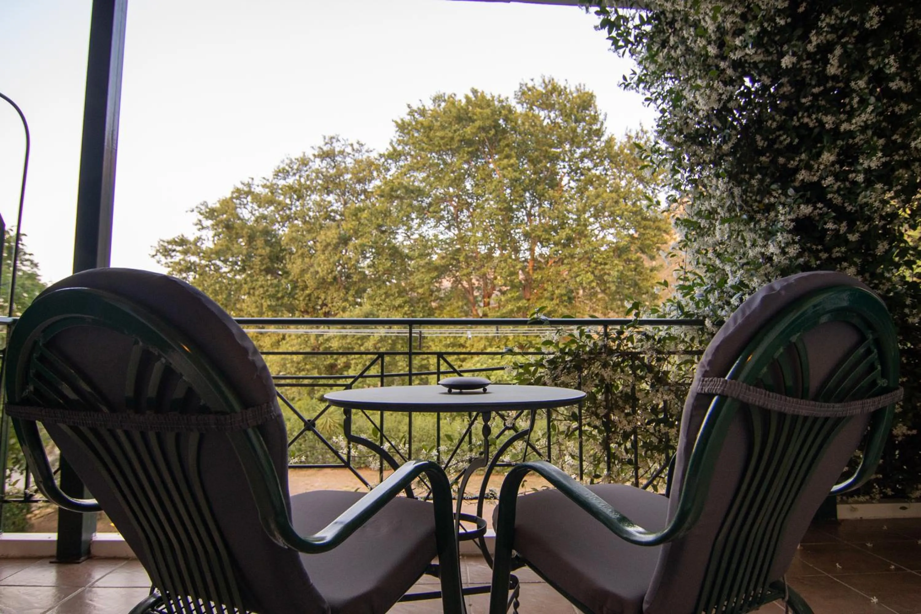 Patio in Tsertos Apartments