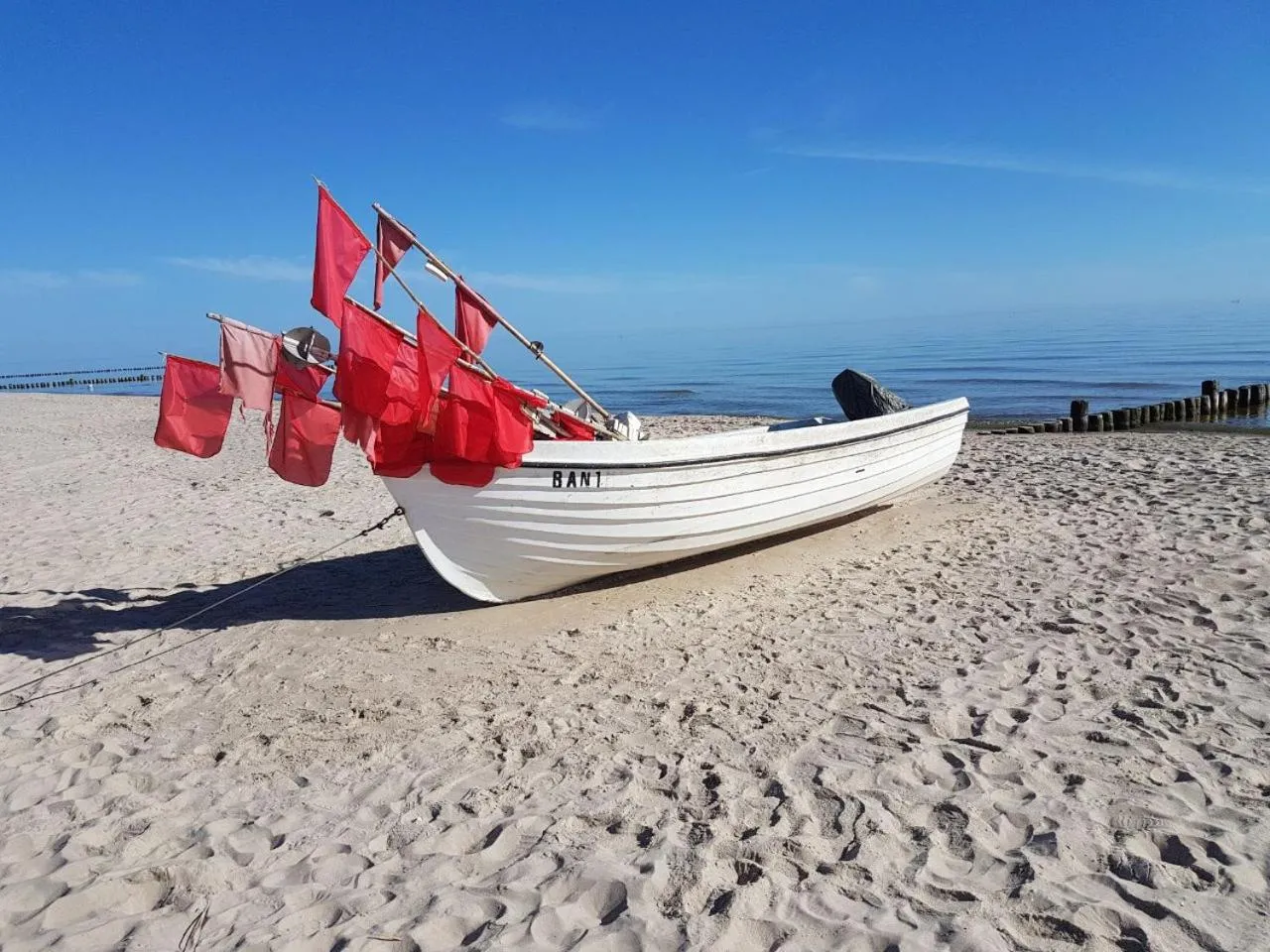 Natural landscape in Hotel am Gothensee