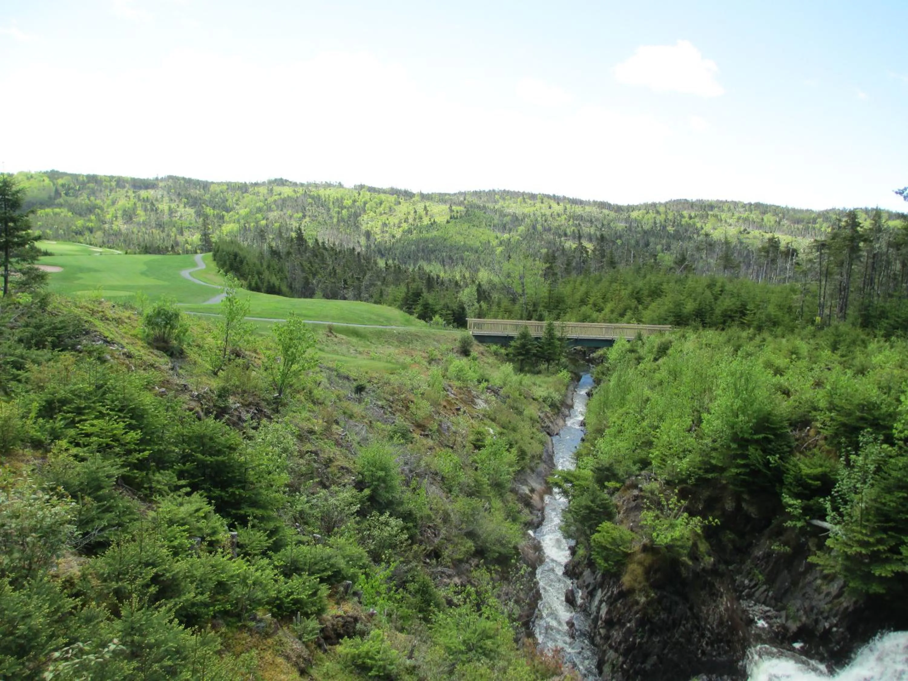 Natural landscape in The Wilds at Salmonier River