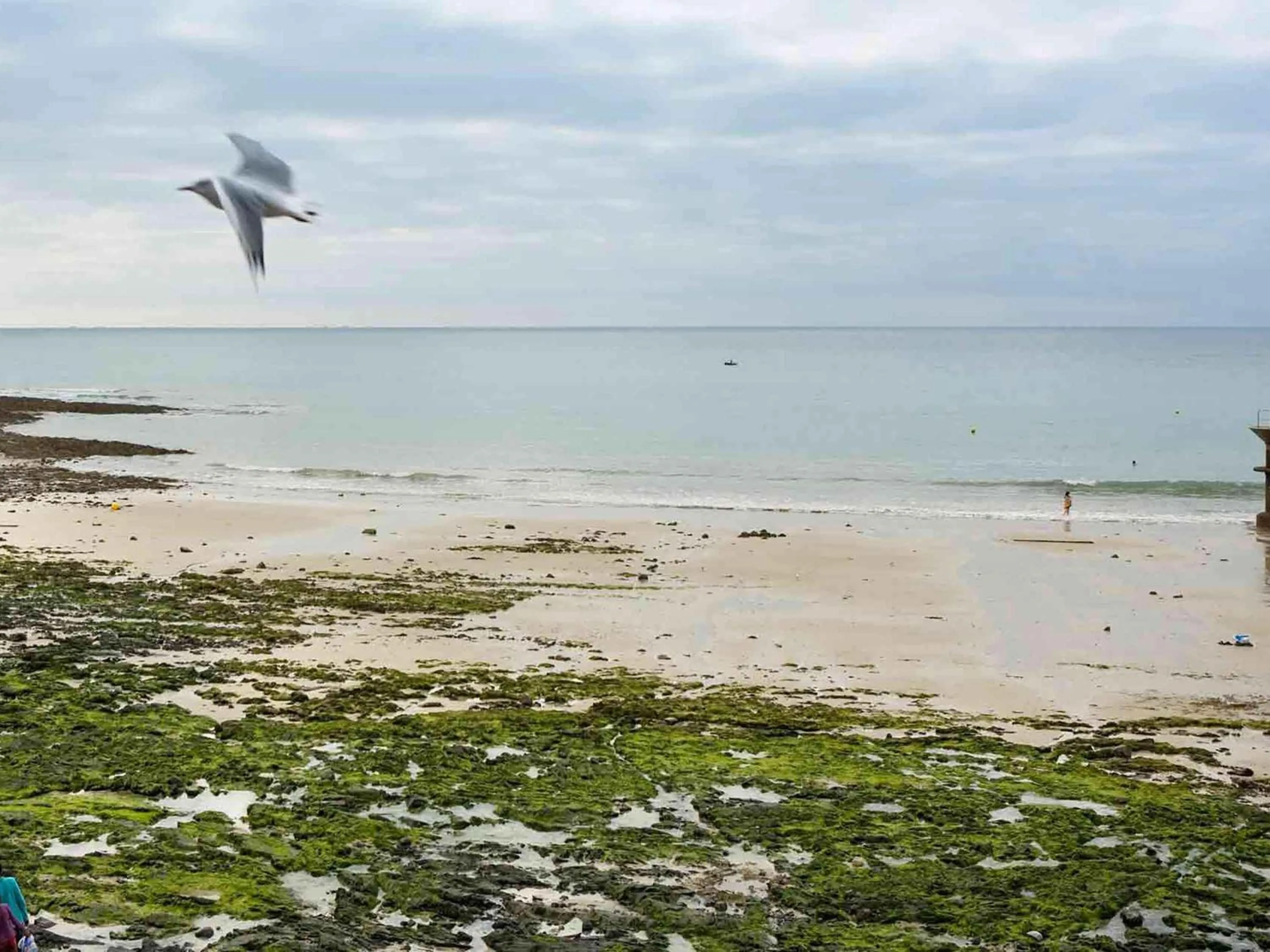 Other in Mercure Mont Saint Michel