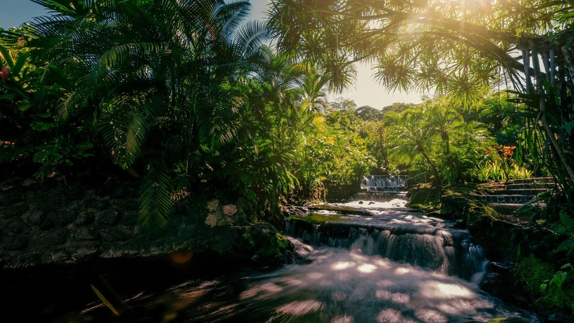Swimming pool in Tabacón Thermal Resort & Spa