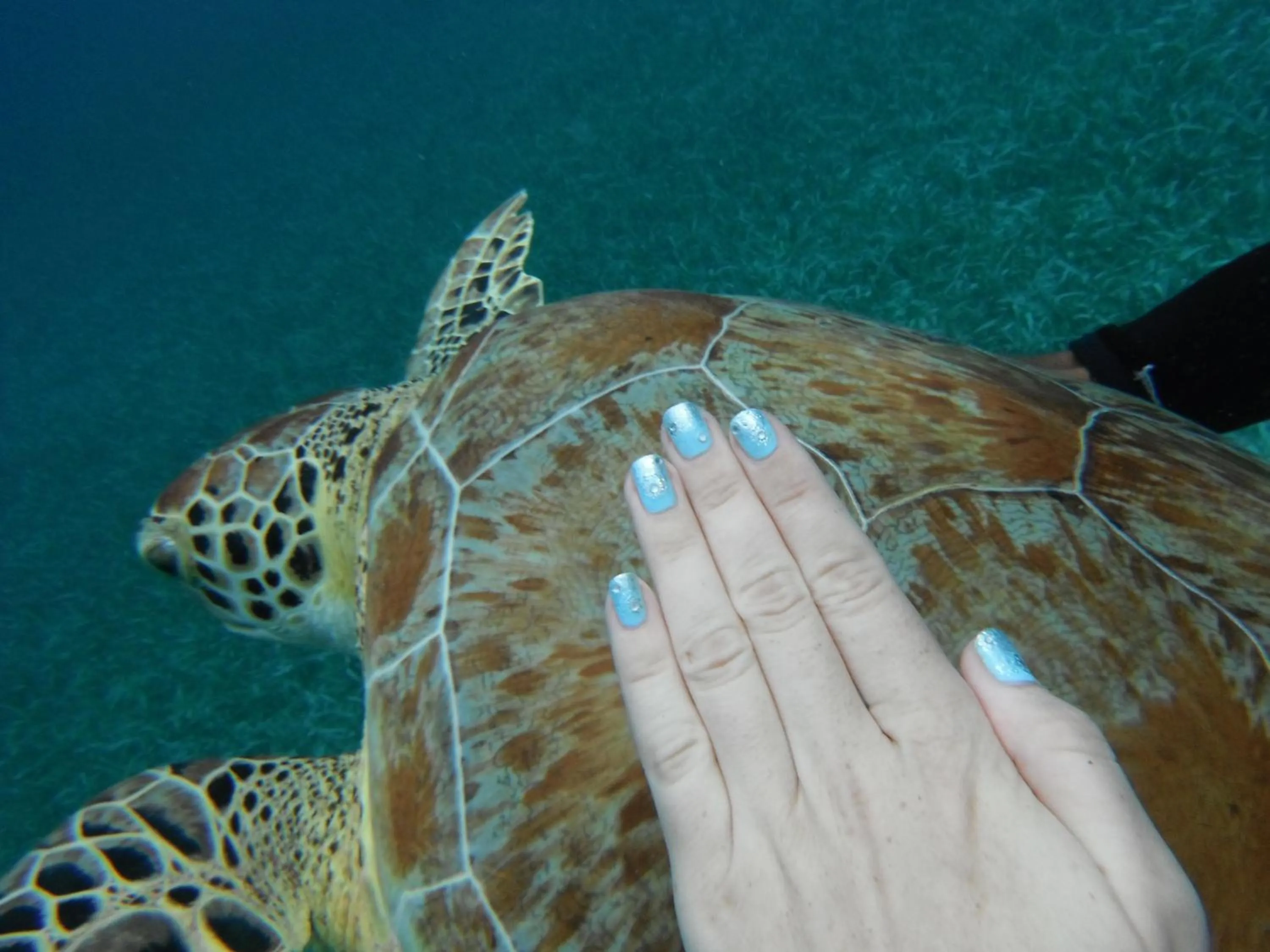 Day in Shaka Caye All inclusive Resort