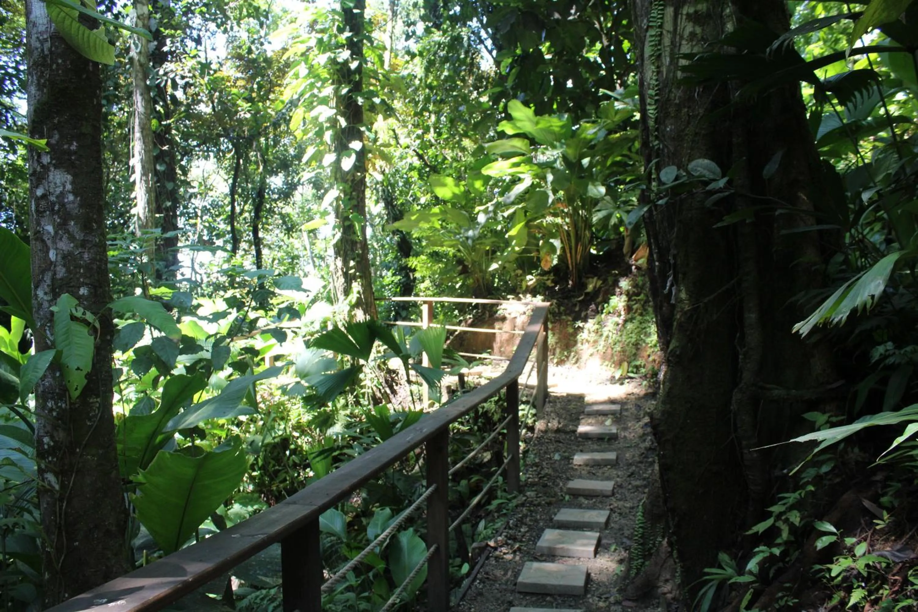 Spa and wellness centre/facilities in Red Frog Beach Island Resort
